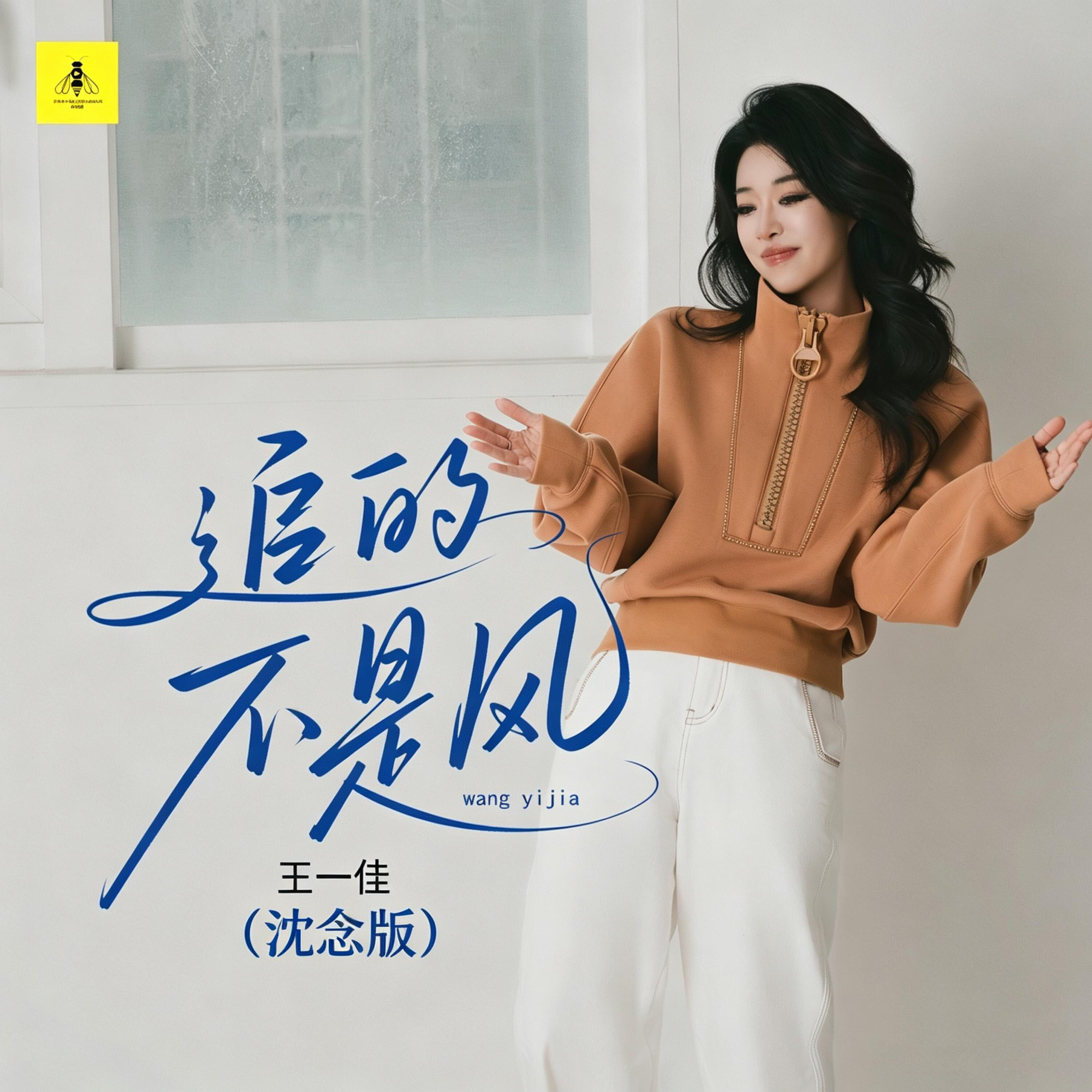 Релиз 追的不是风
