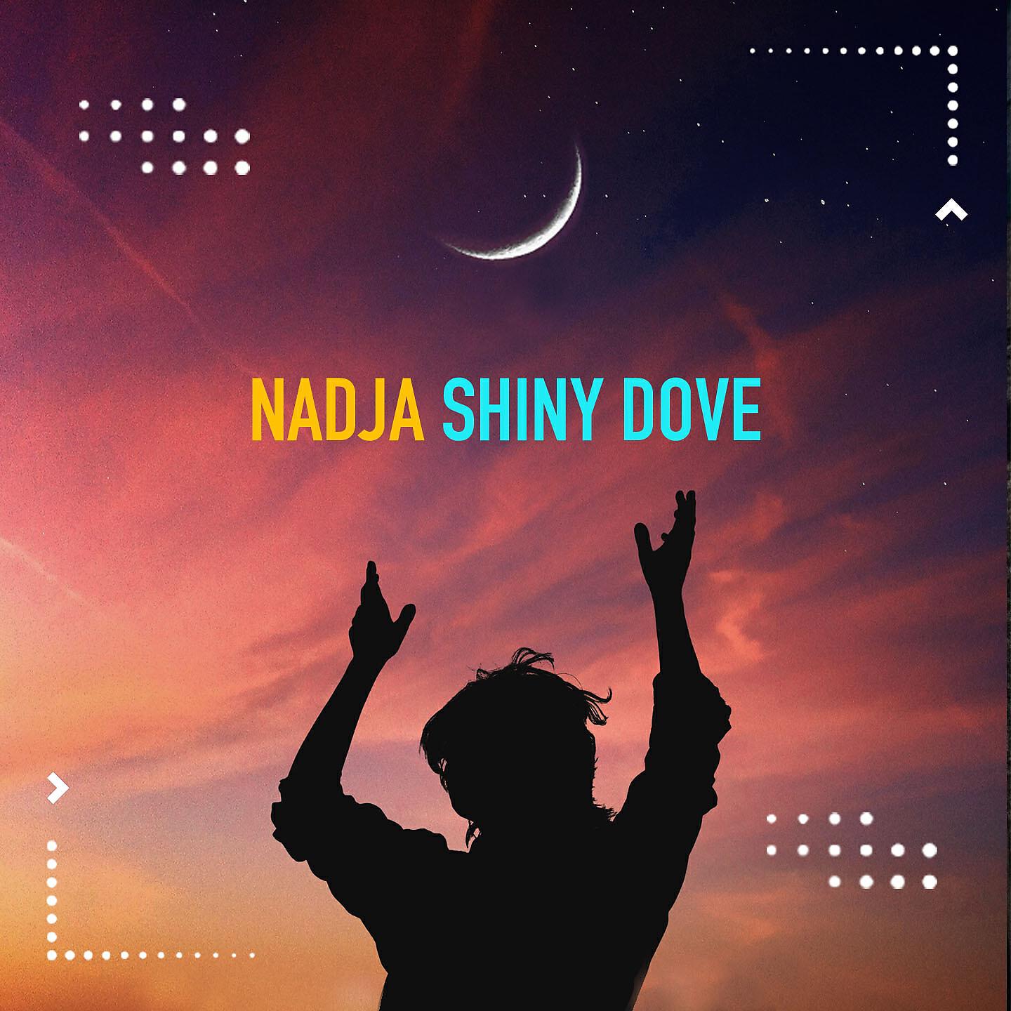 Релиз Shiny Dove
