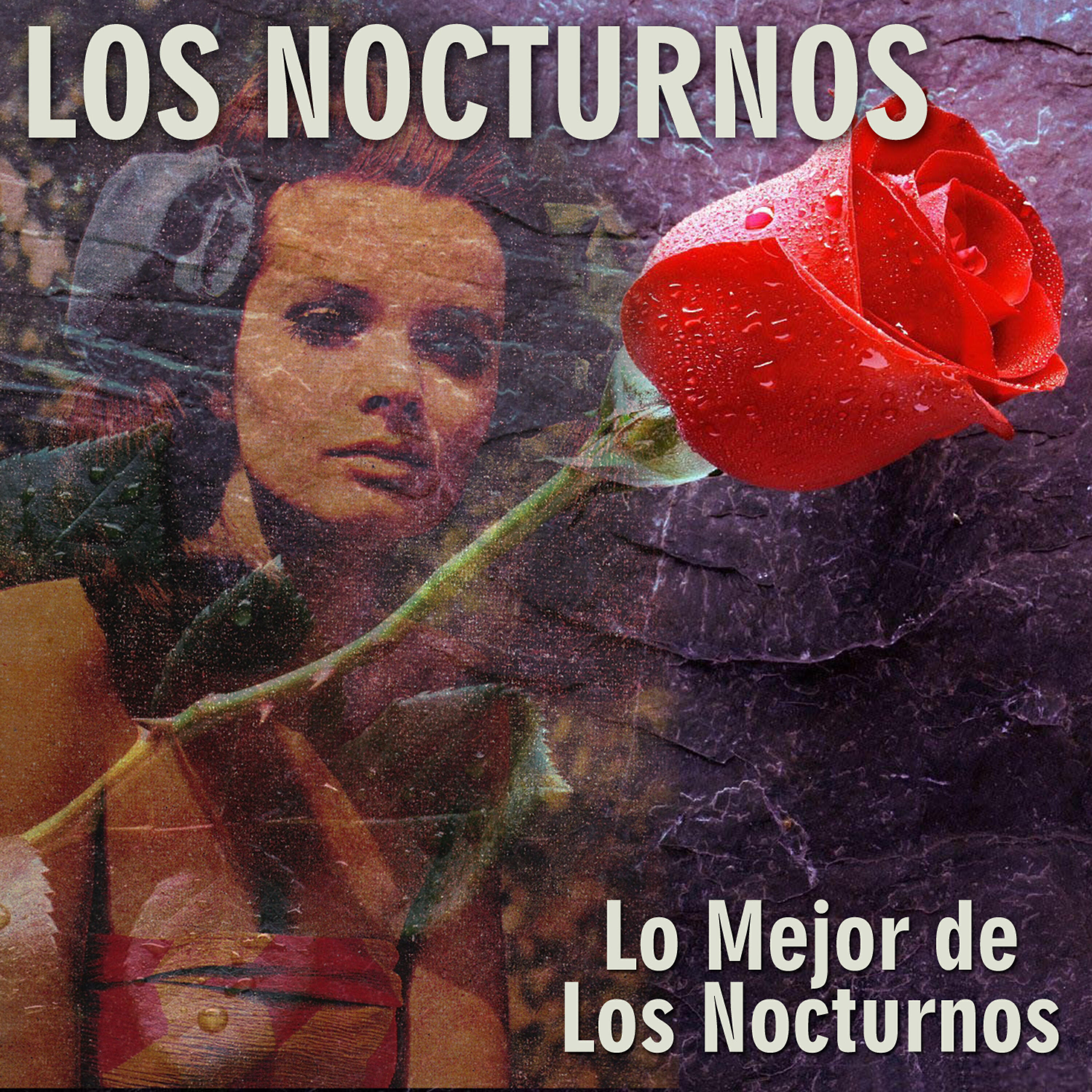 Постер альбома Lo Mejor de los Nocturnos