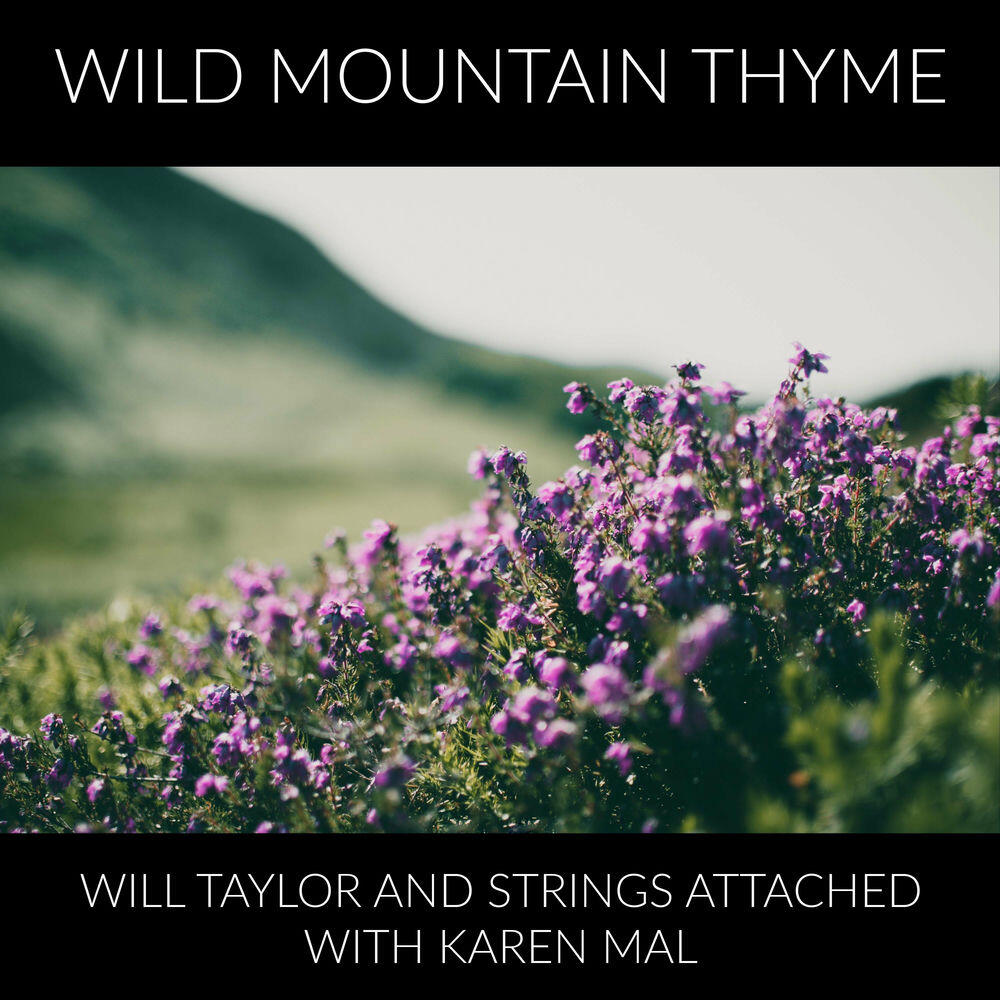 Релиз Wild Mountain Thyme