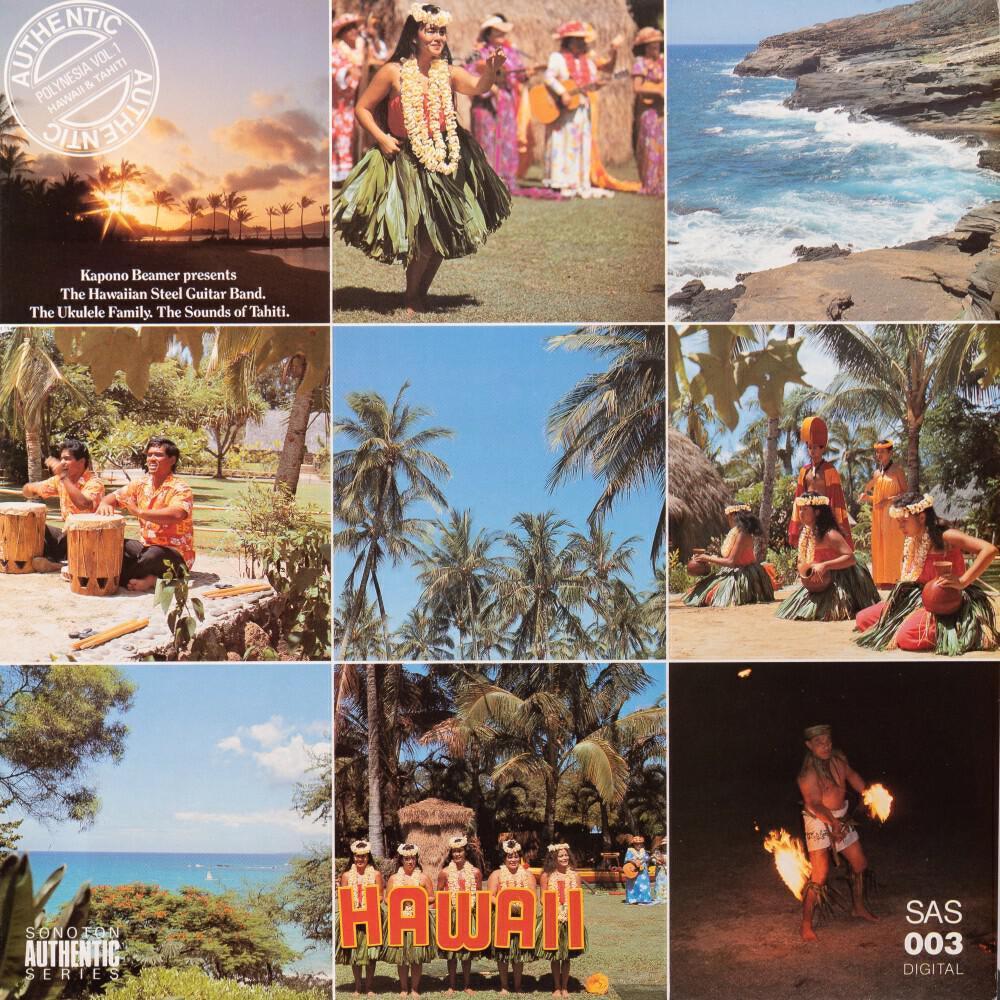 Hawaiian Steel Guitar
