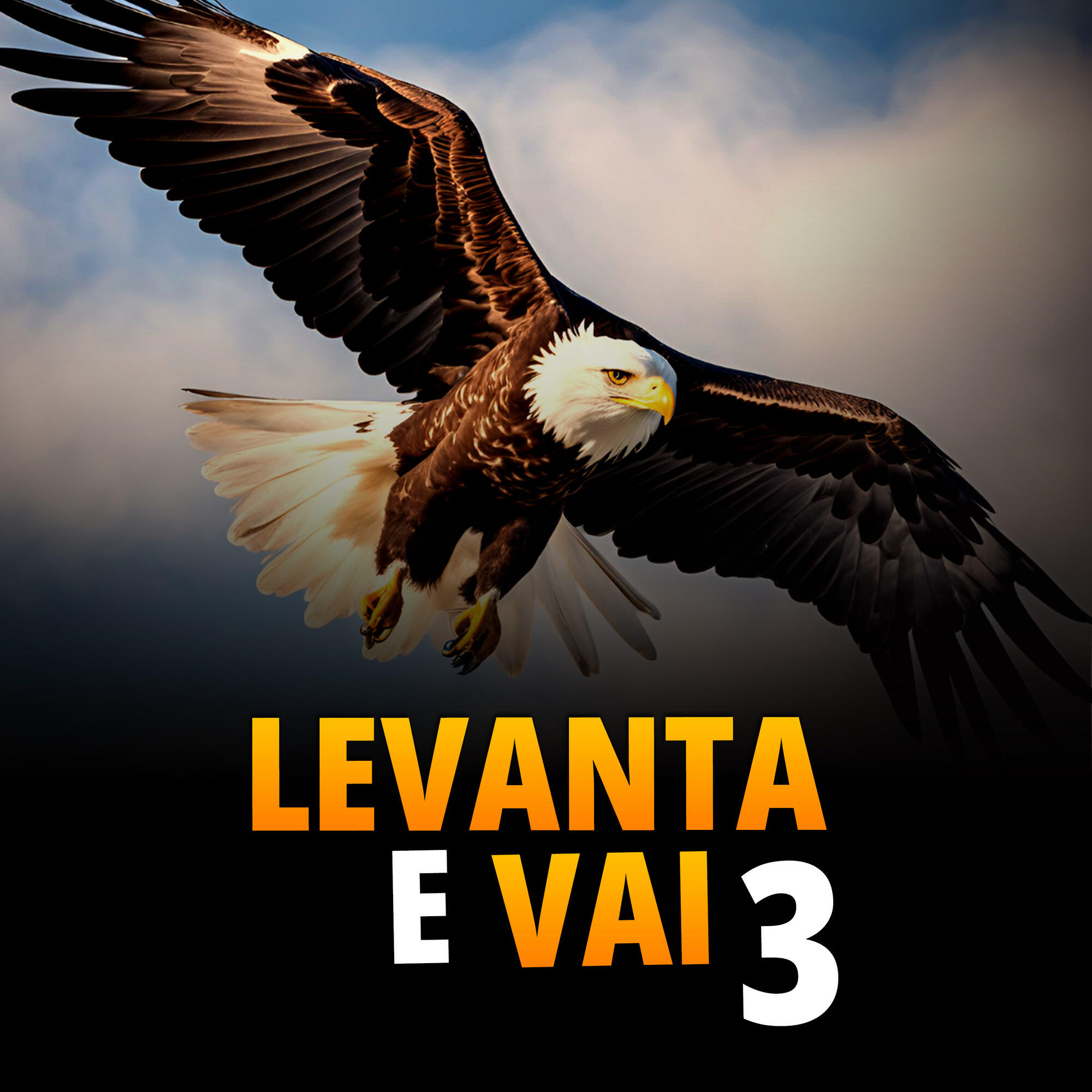 Релиз Levanta e Vai 3