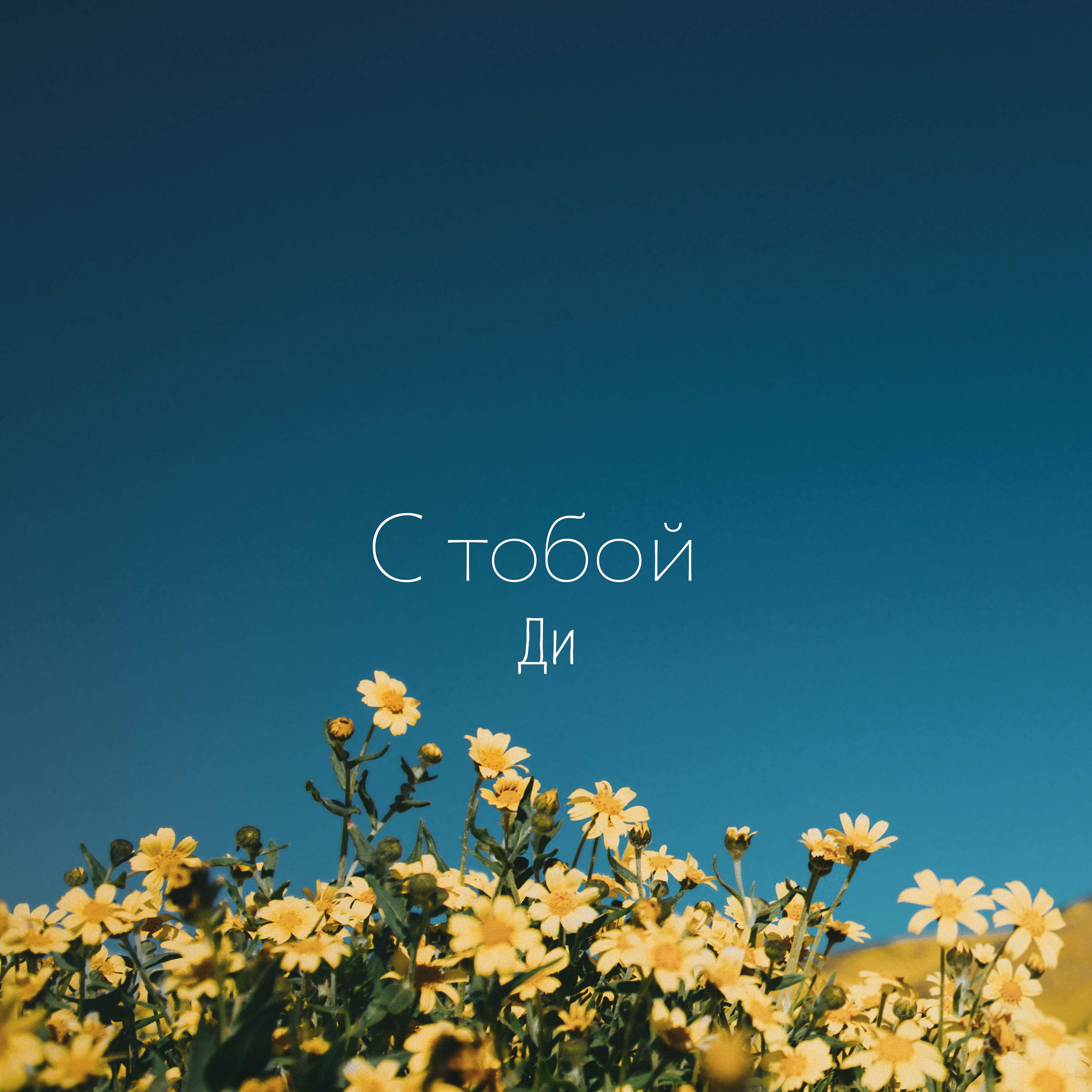 Релиз С тобой