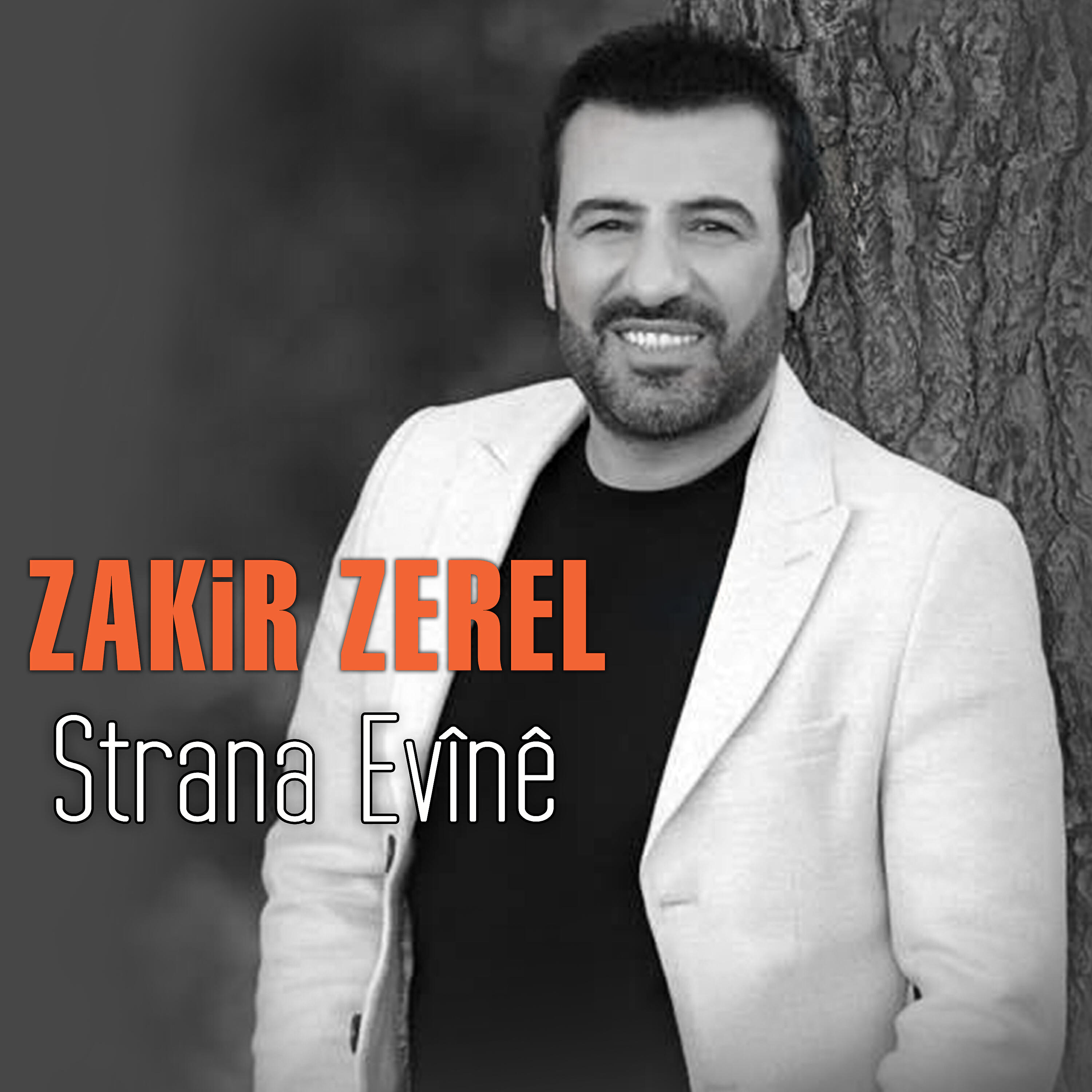 Релиз Strana Evînê