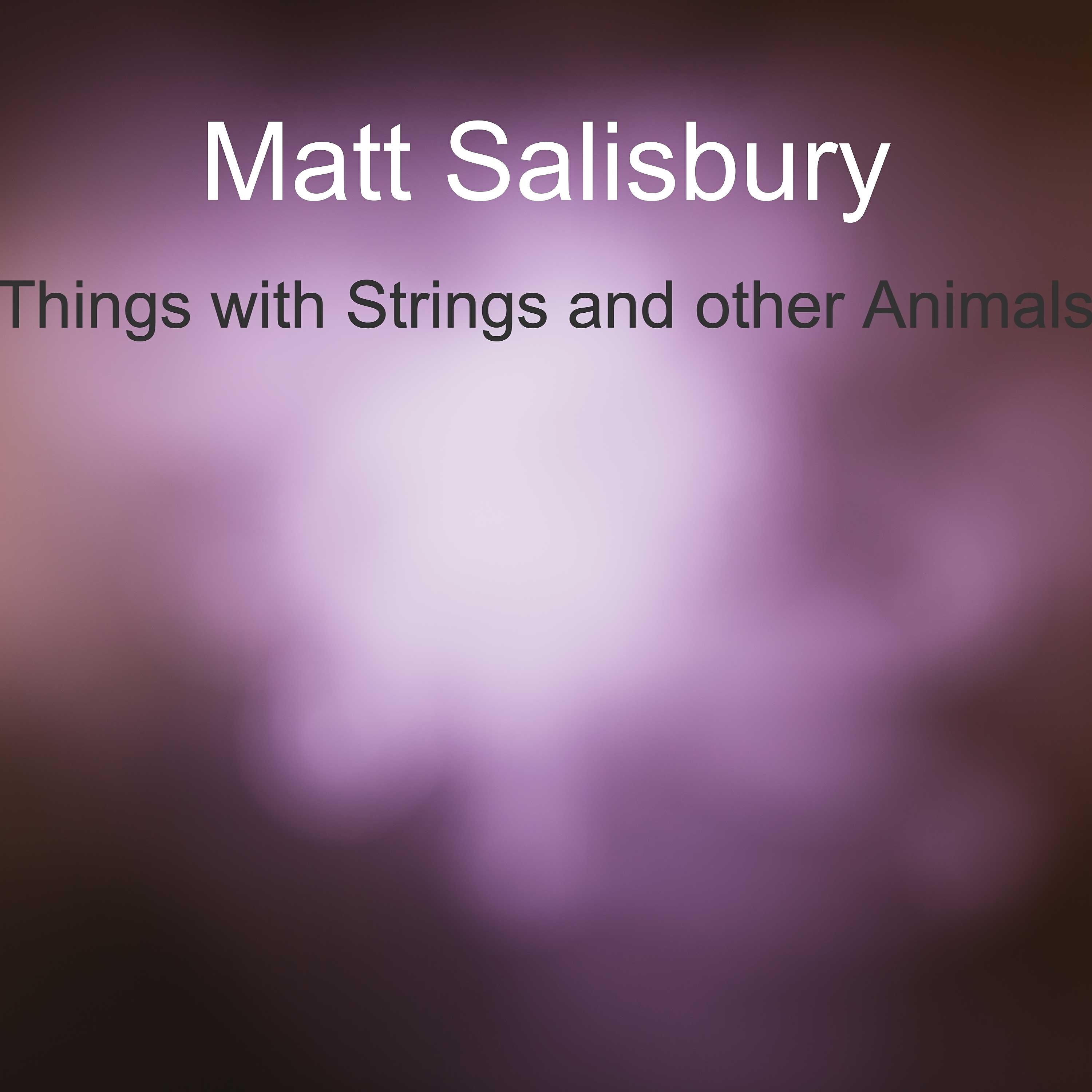 Релиз Things with Strings and Other Animals