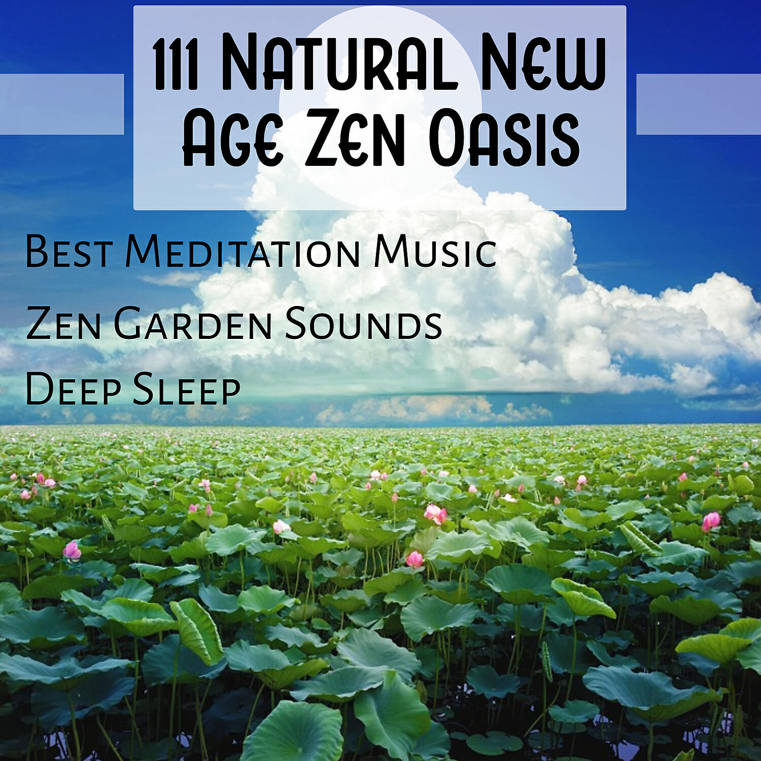 Релиз 111 Natural New Age Zen Oasis: Best Meditation Music, Zen Garden Sounds, Deep Sleep, Healing Massage, Spa and Yoga Music, Pure Relaxation, Balance and Stress Relief, Feel Incredible
