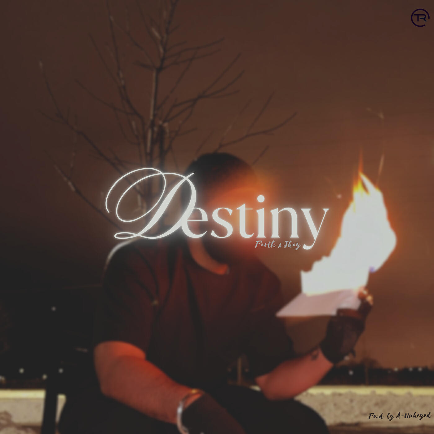 Релиз Destiny