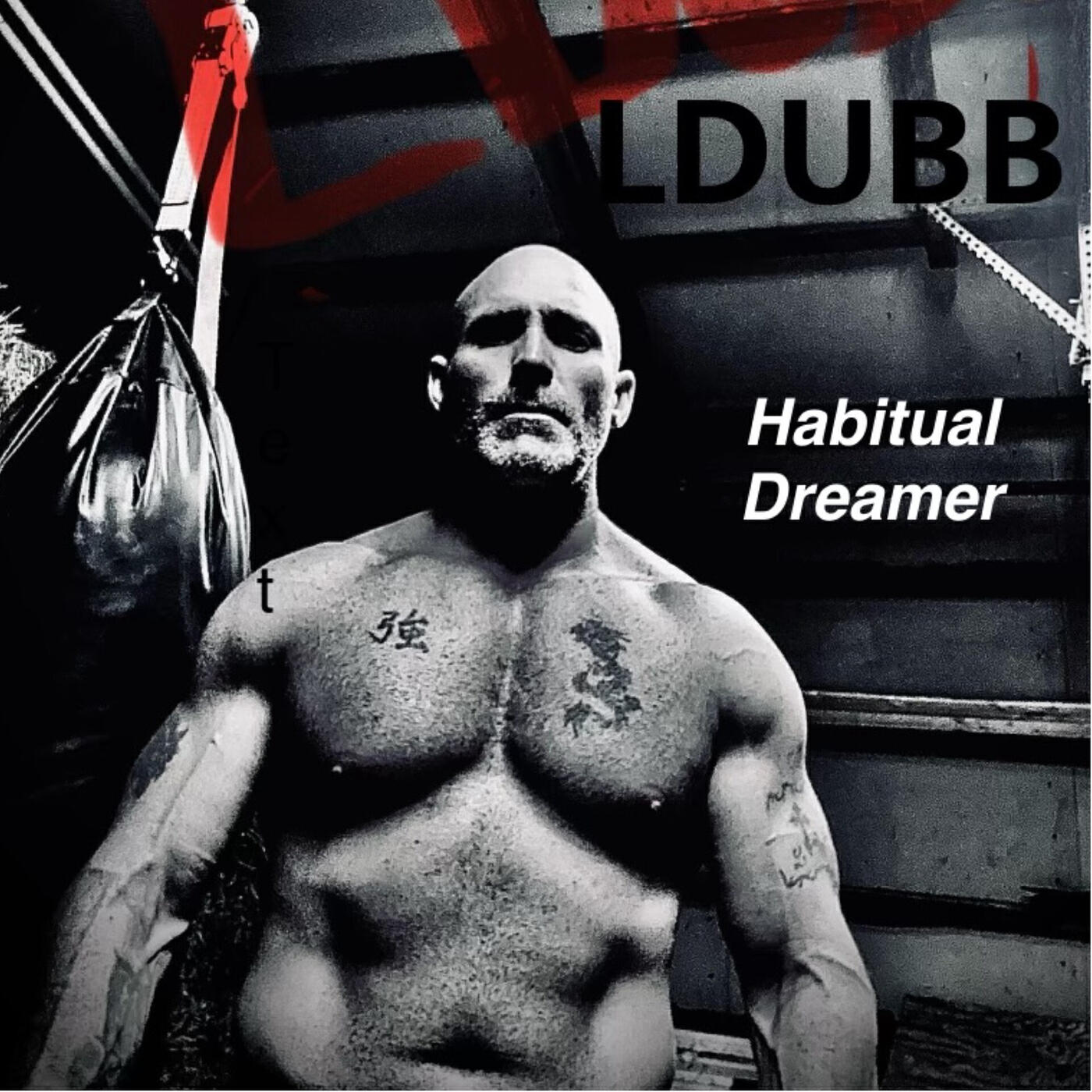 LDUBB