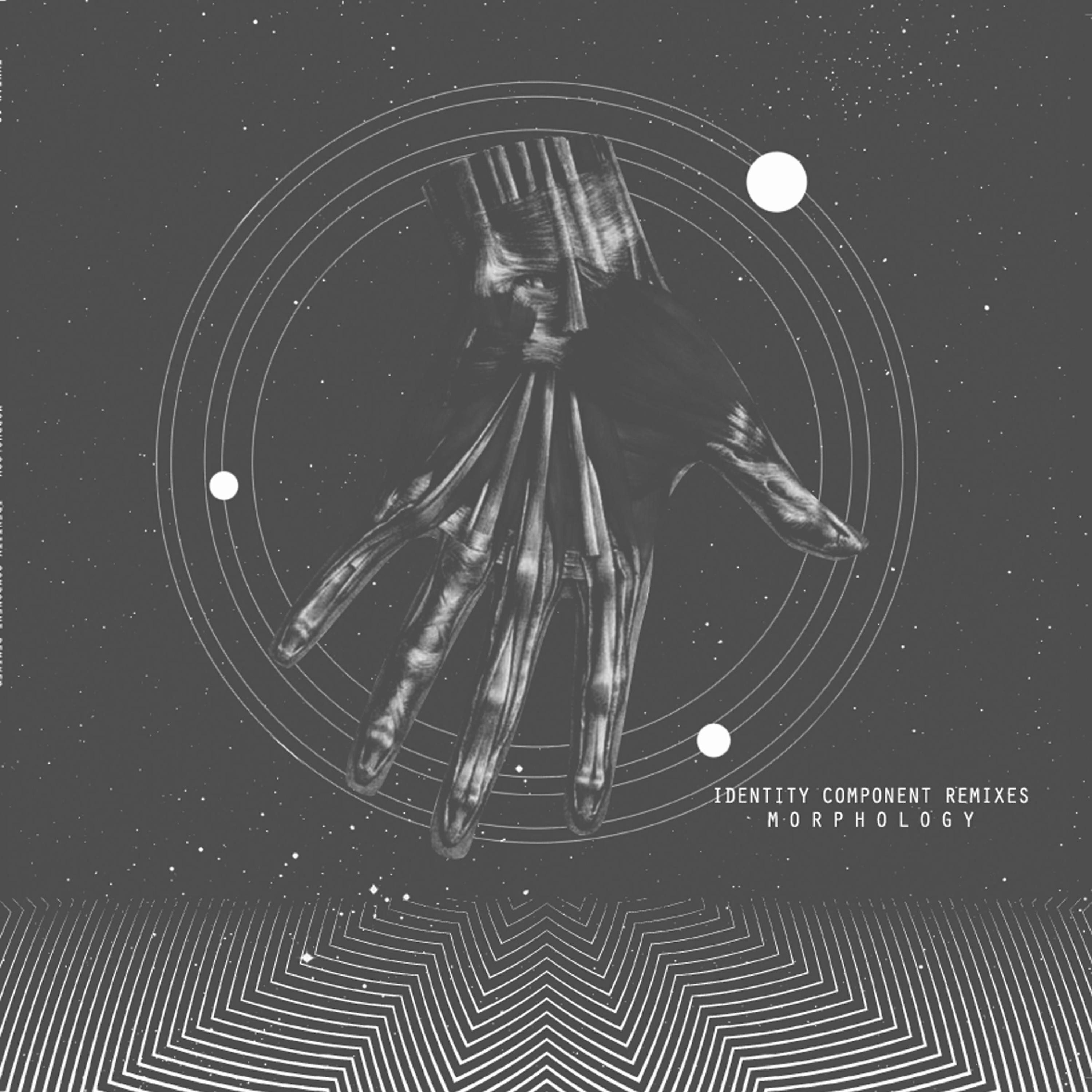 Релиз Identity Component Remixes