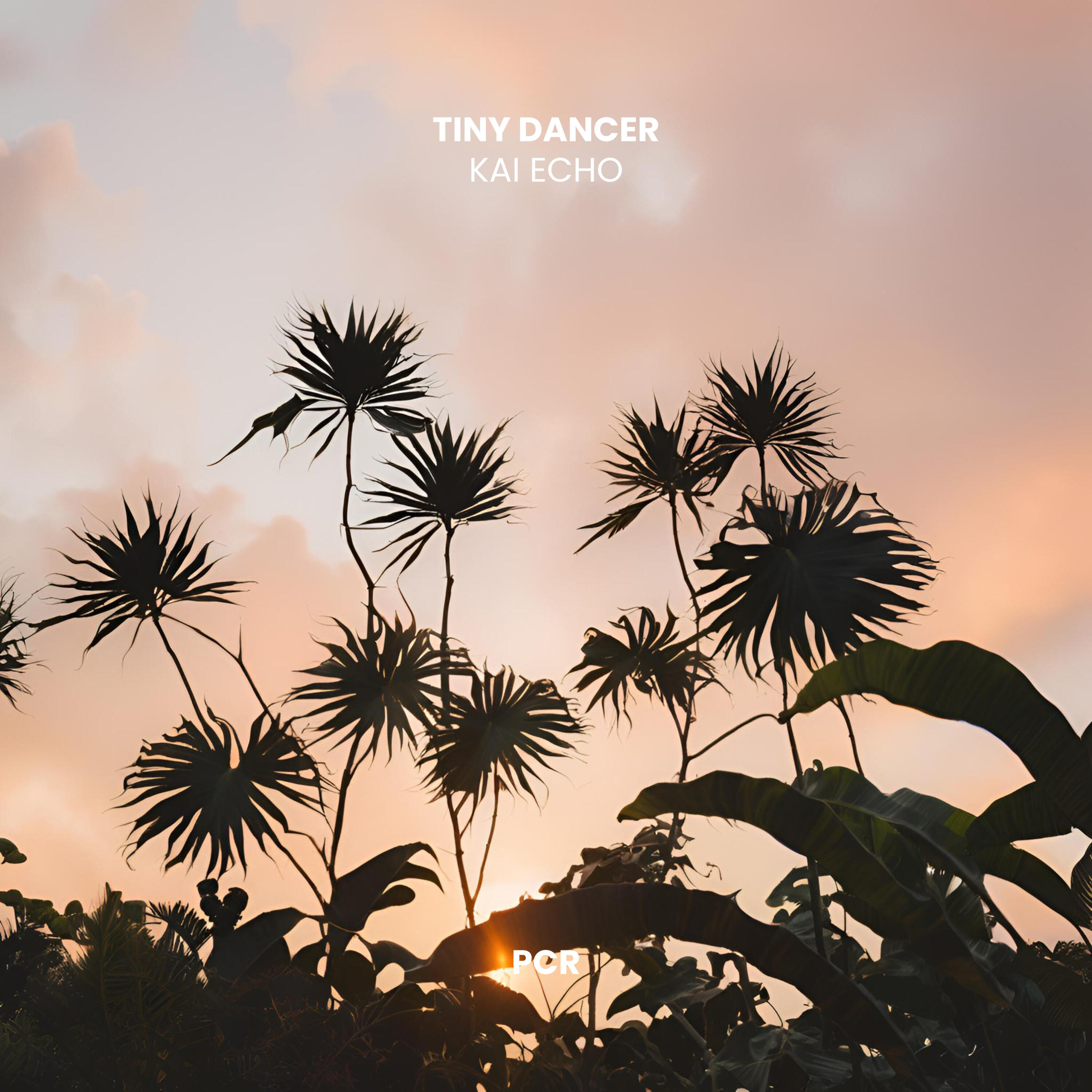 Релиз Tiny Dancer