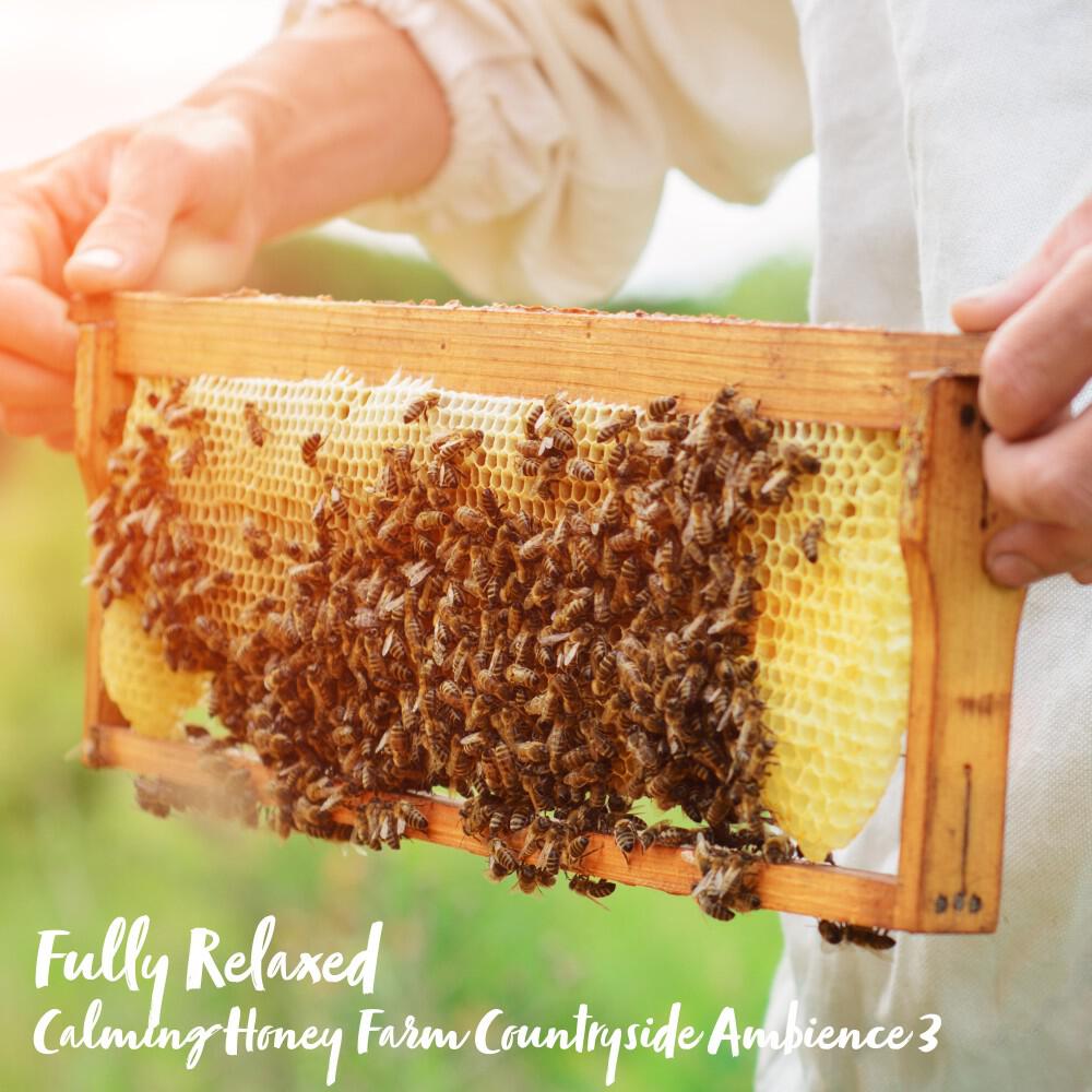Релиз Fully Relaxed: Calming Honey Farm Countryside Ambience 3
