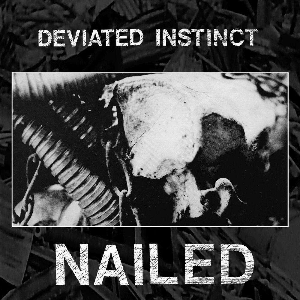 Релиз Nailed