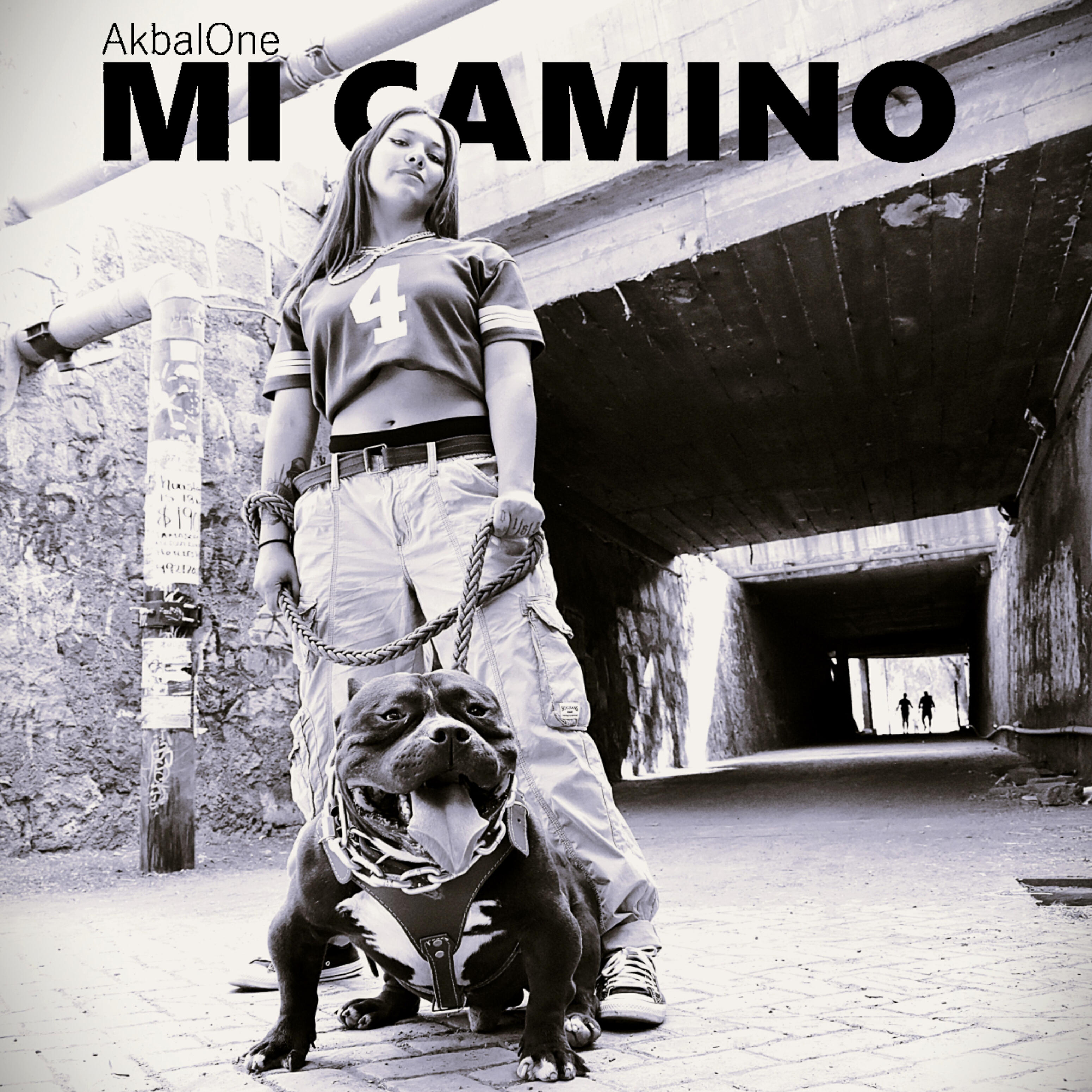 Релиз Mi Camino