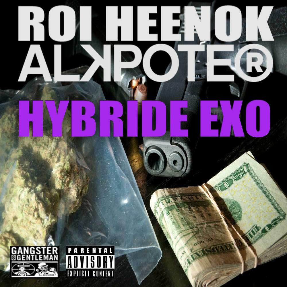 Релиз Hybride Exo
