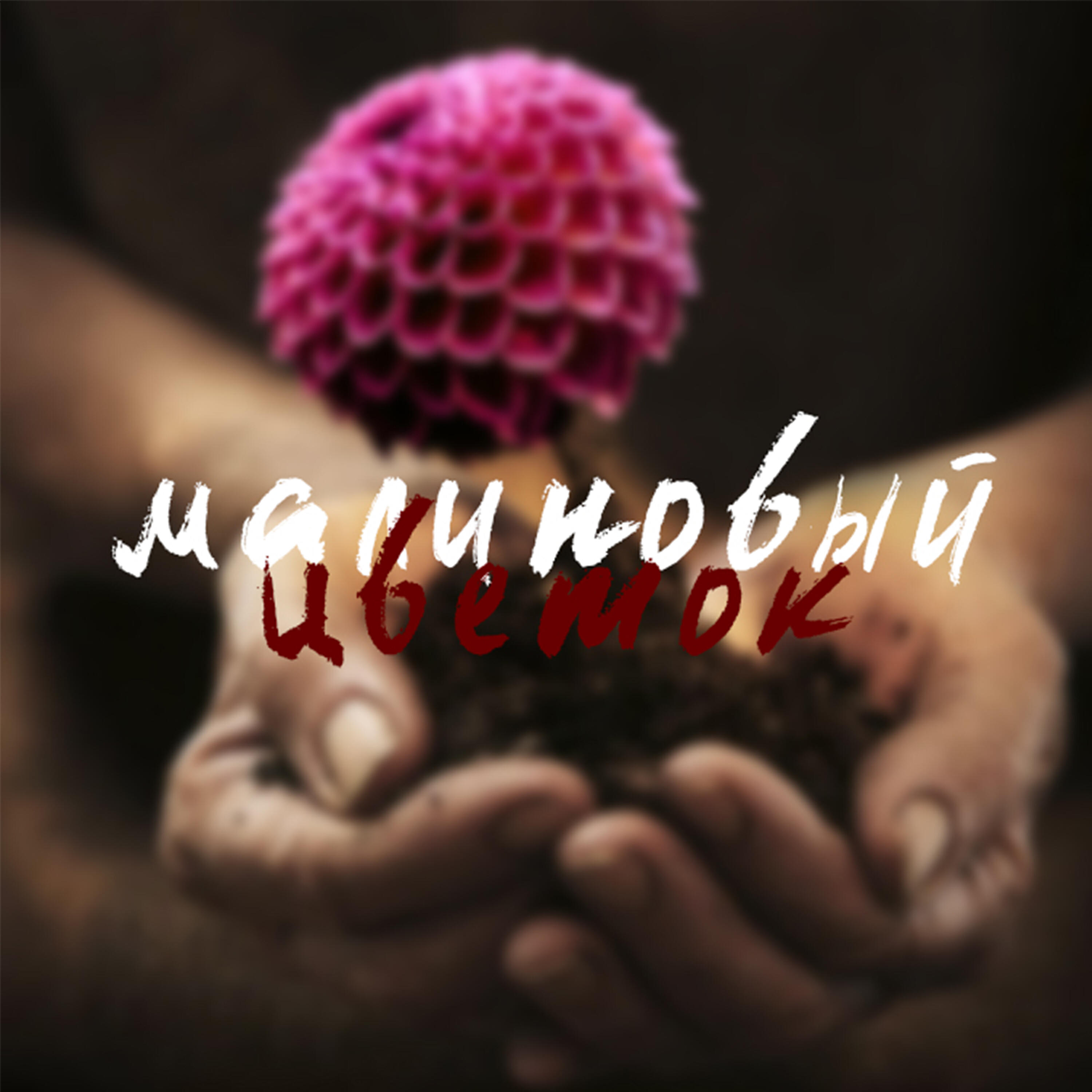 Релиз Малиновый цветок