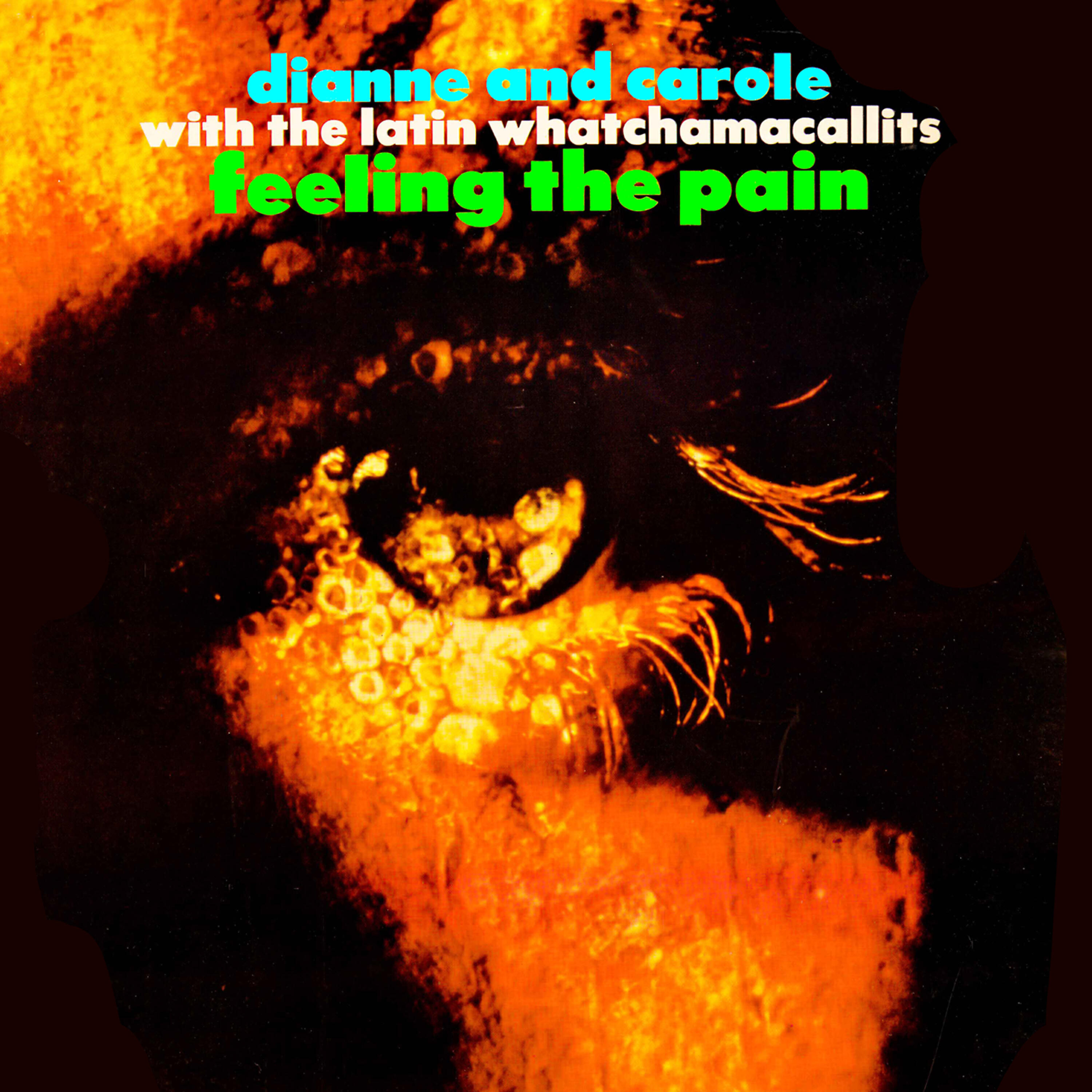 Релиз Feeling The Pain