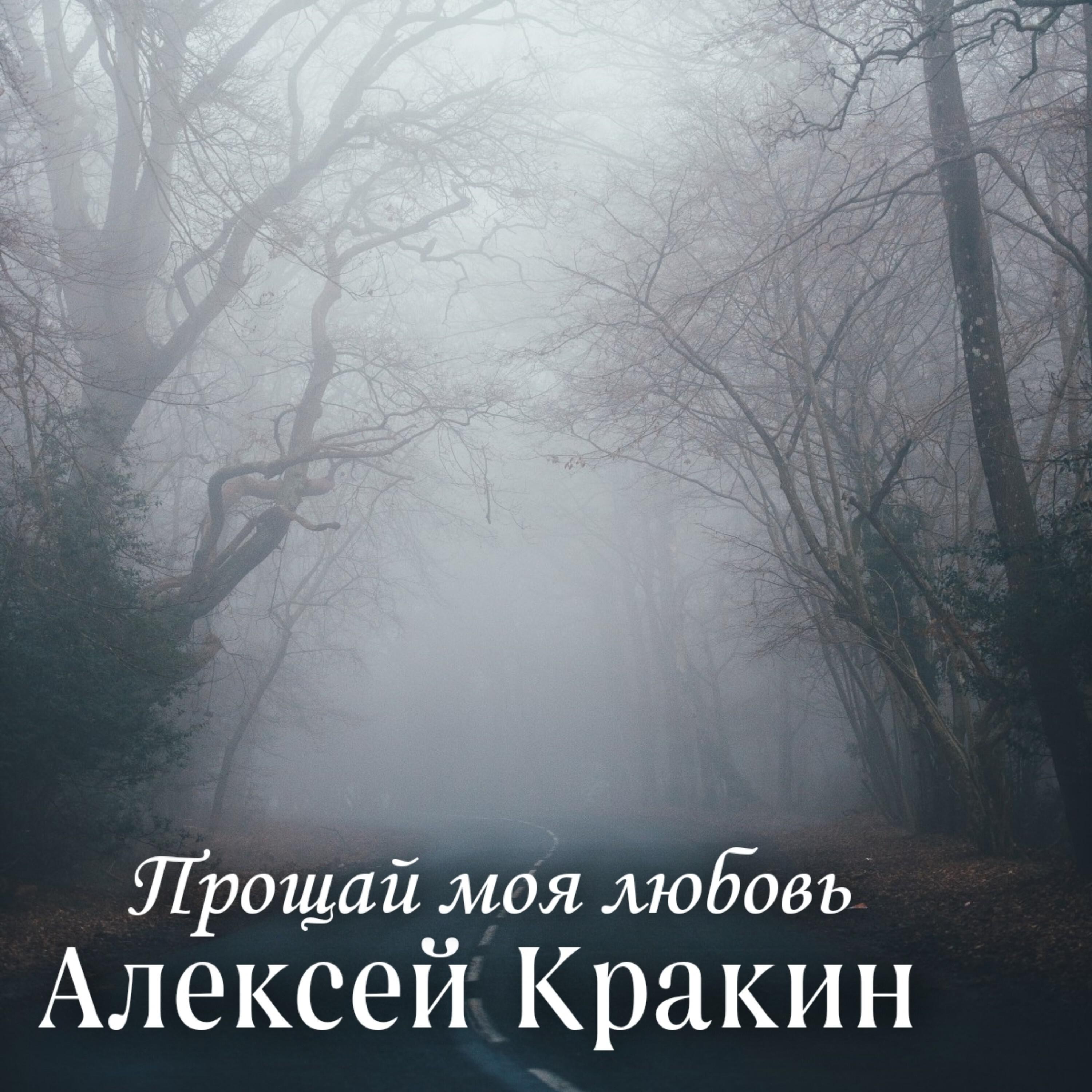 Постер альбома Прощай моя любовь