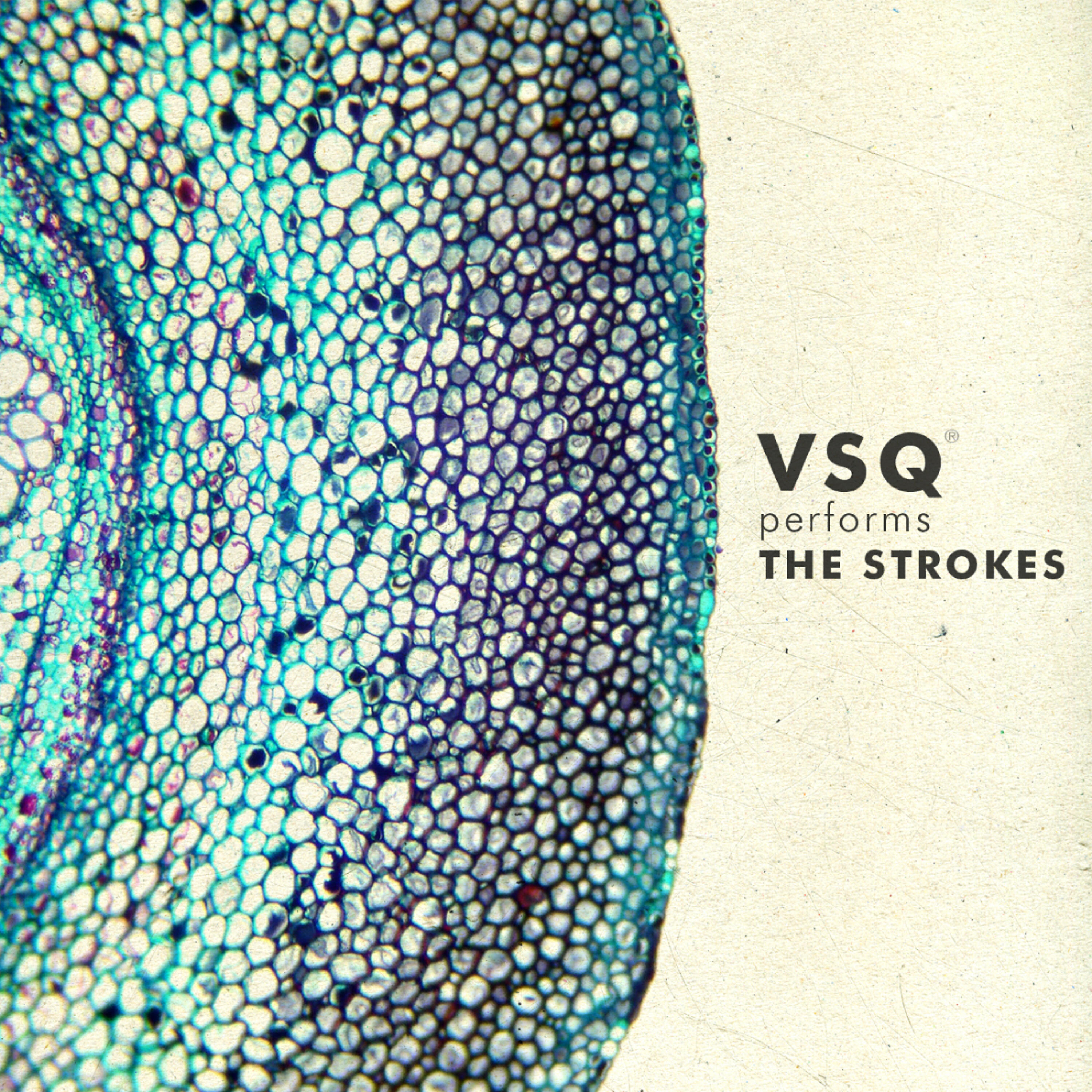 Релиз VSQ Performs The Strokes