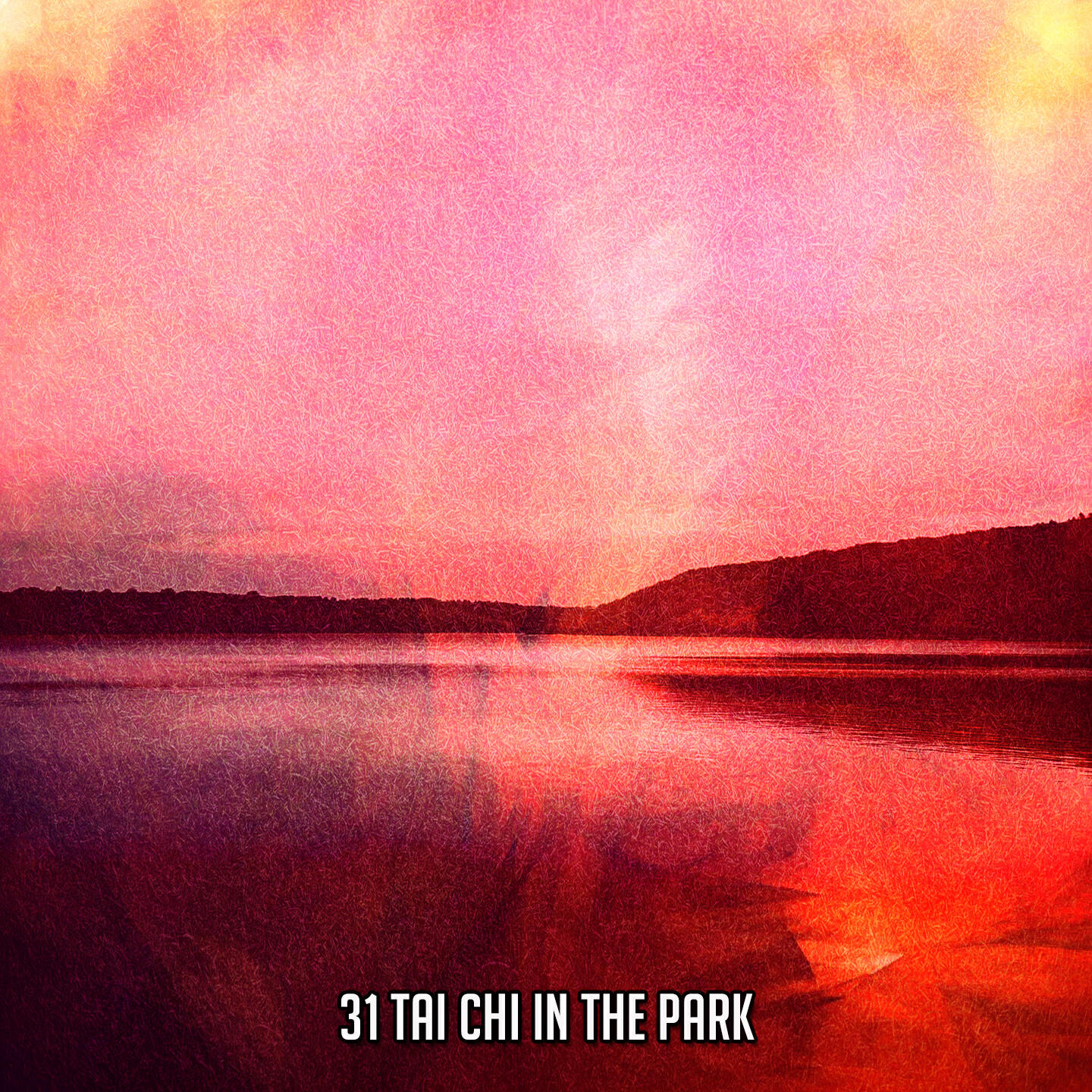 Релиз 31 Tai Chi In The Park