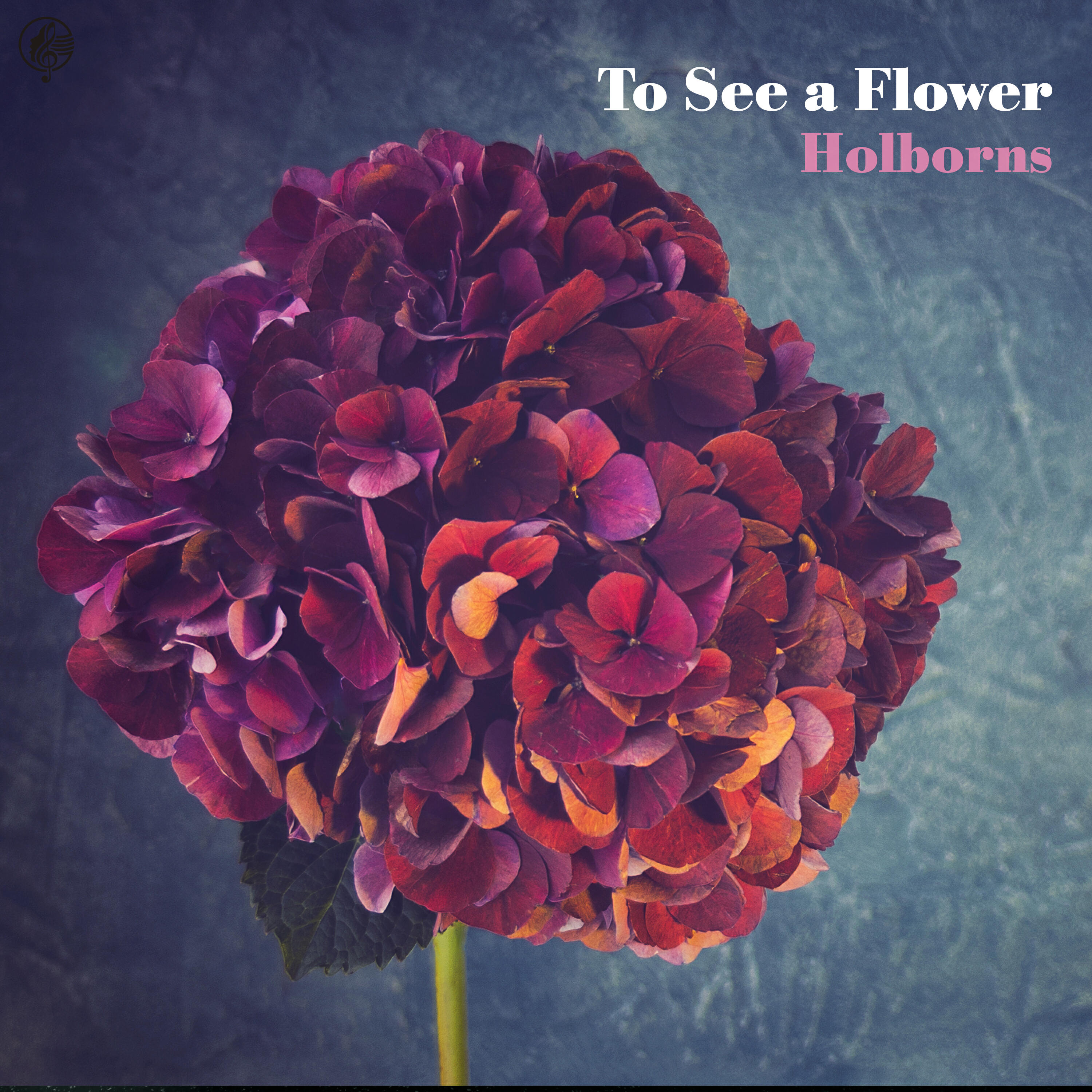 Релиз To See a Flower