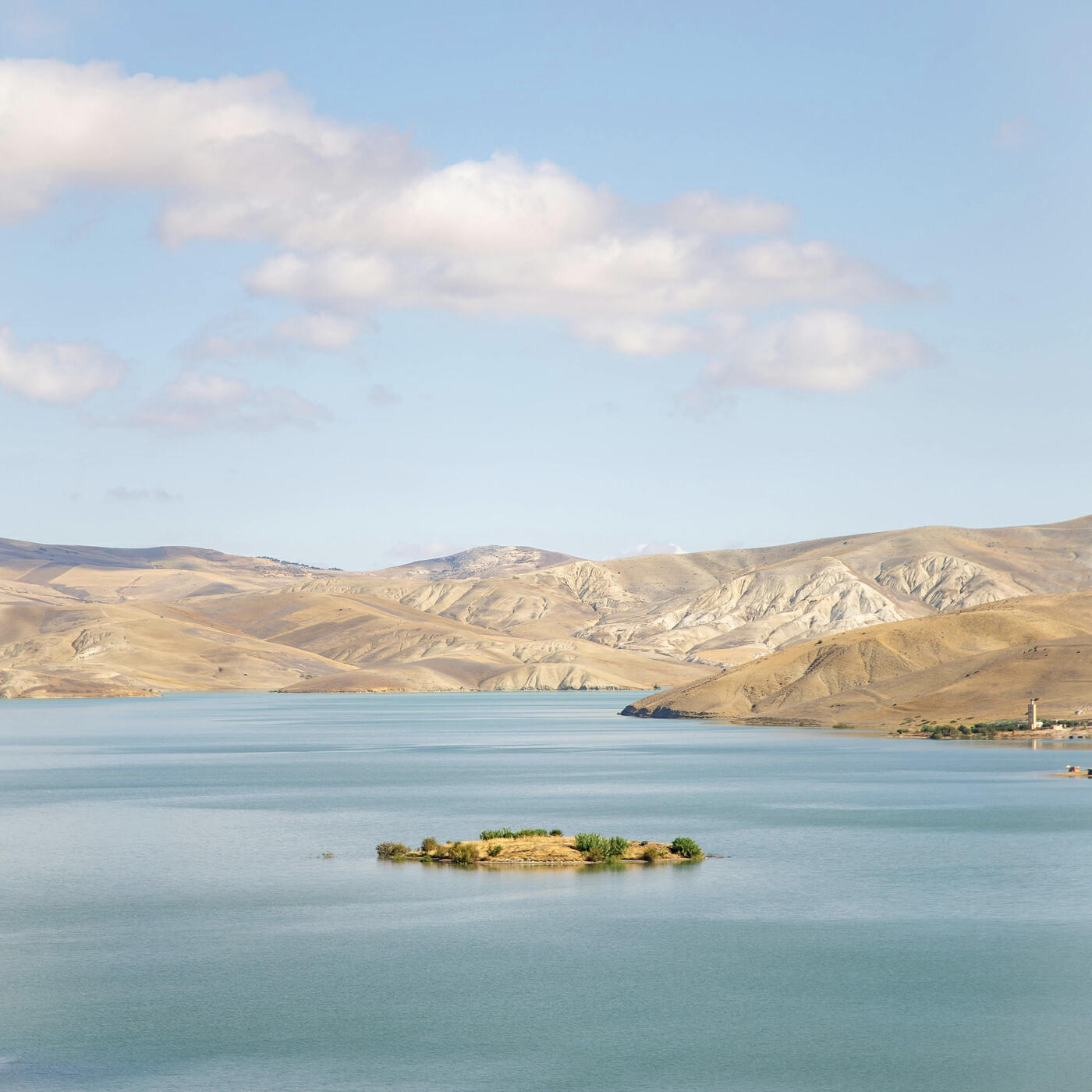 Релиз Anxiety Cleanse