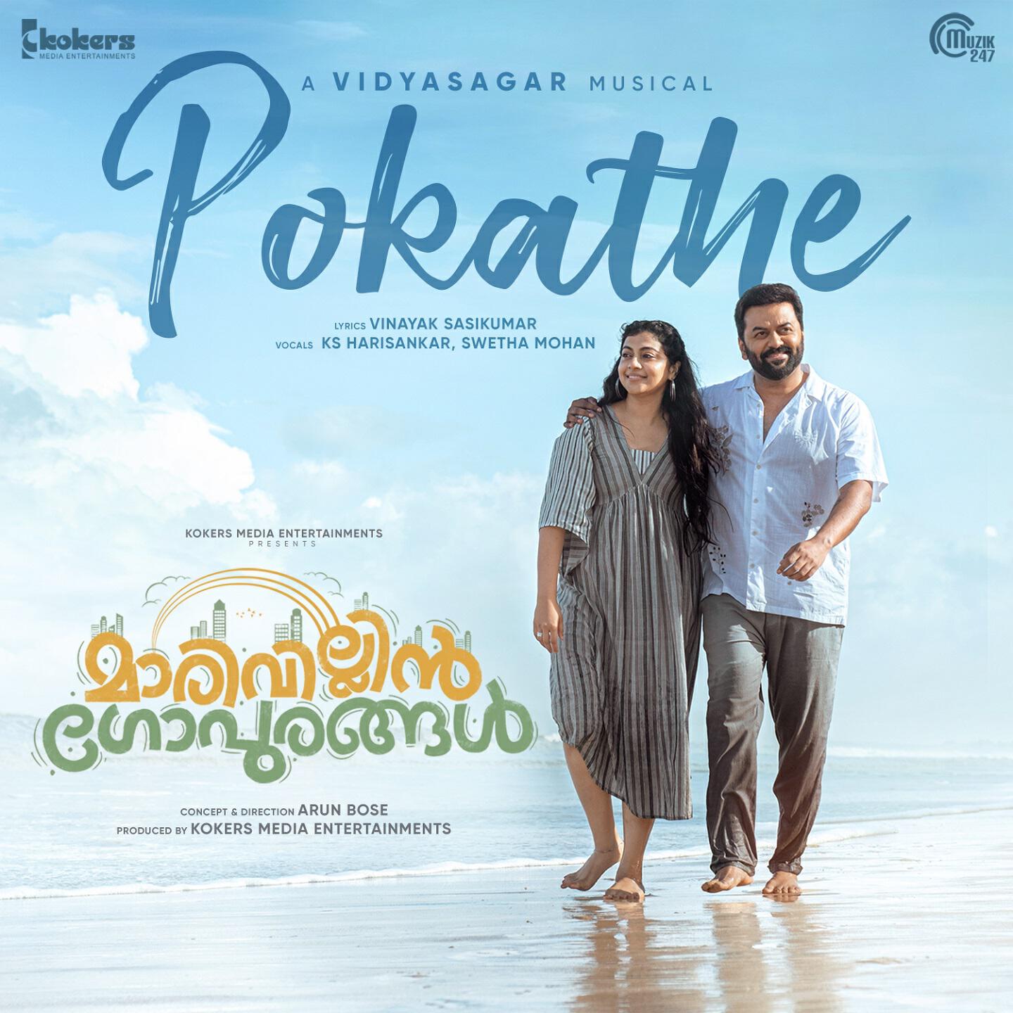 Релиз Pokathe