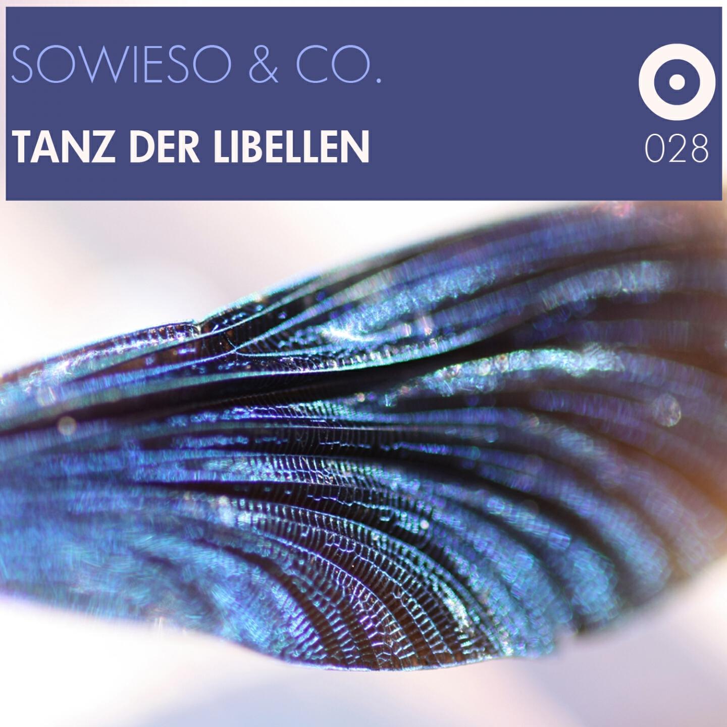 Релиз Tanz der Libellen