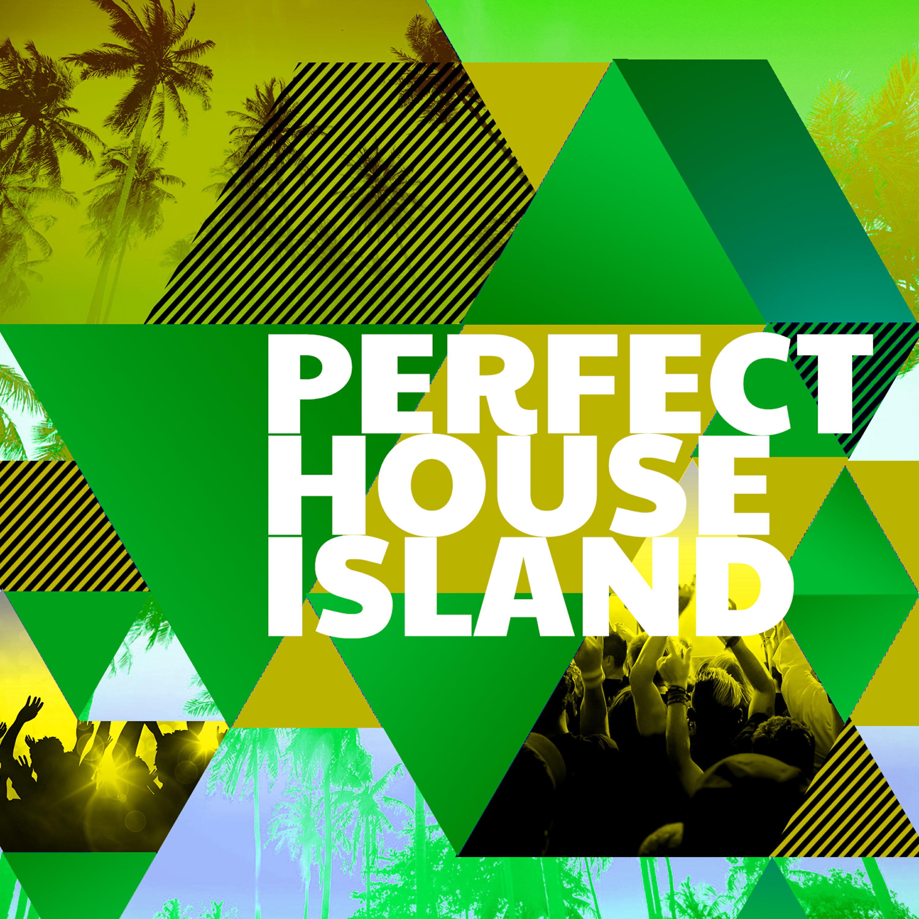 Perfect House Island