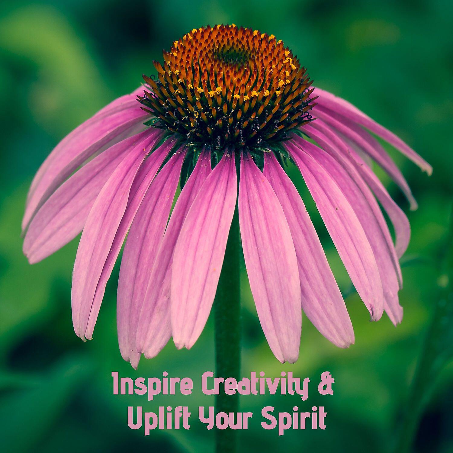 Релиз Inspire Creativity & Uplift Your Spirit