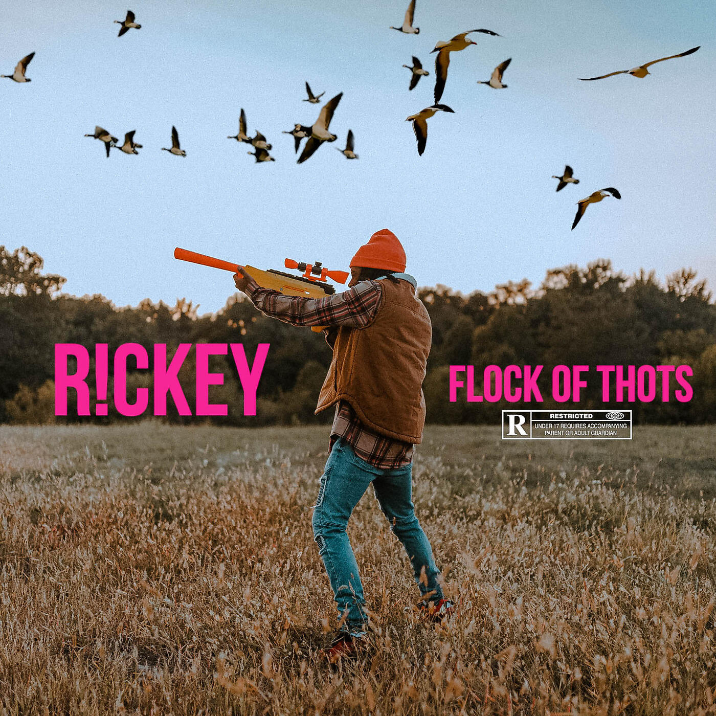 Релиз Flock of Thots
