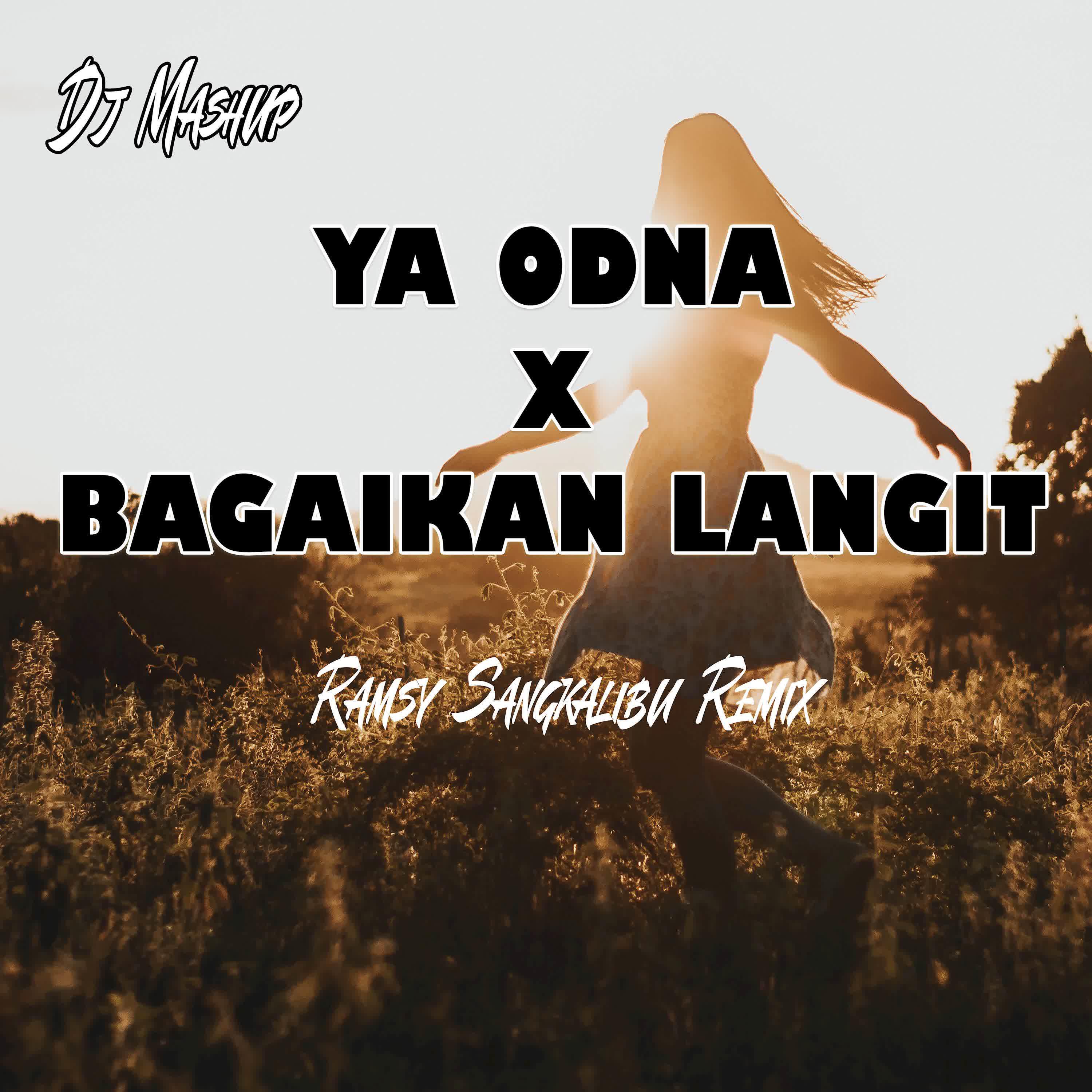 Постер альбома DJ Ya Odna x Bagaikan Langit