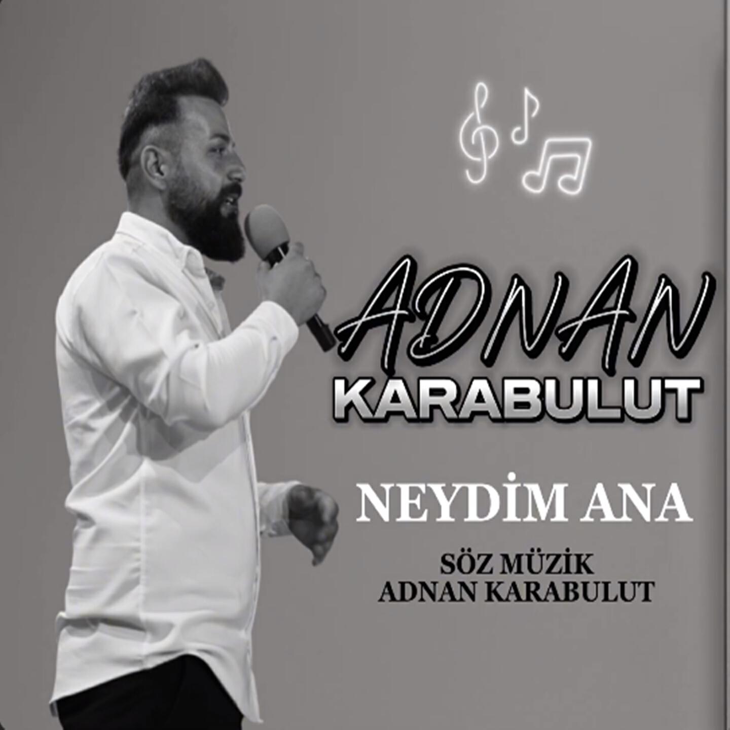 Релиз Neydim Ana
