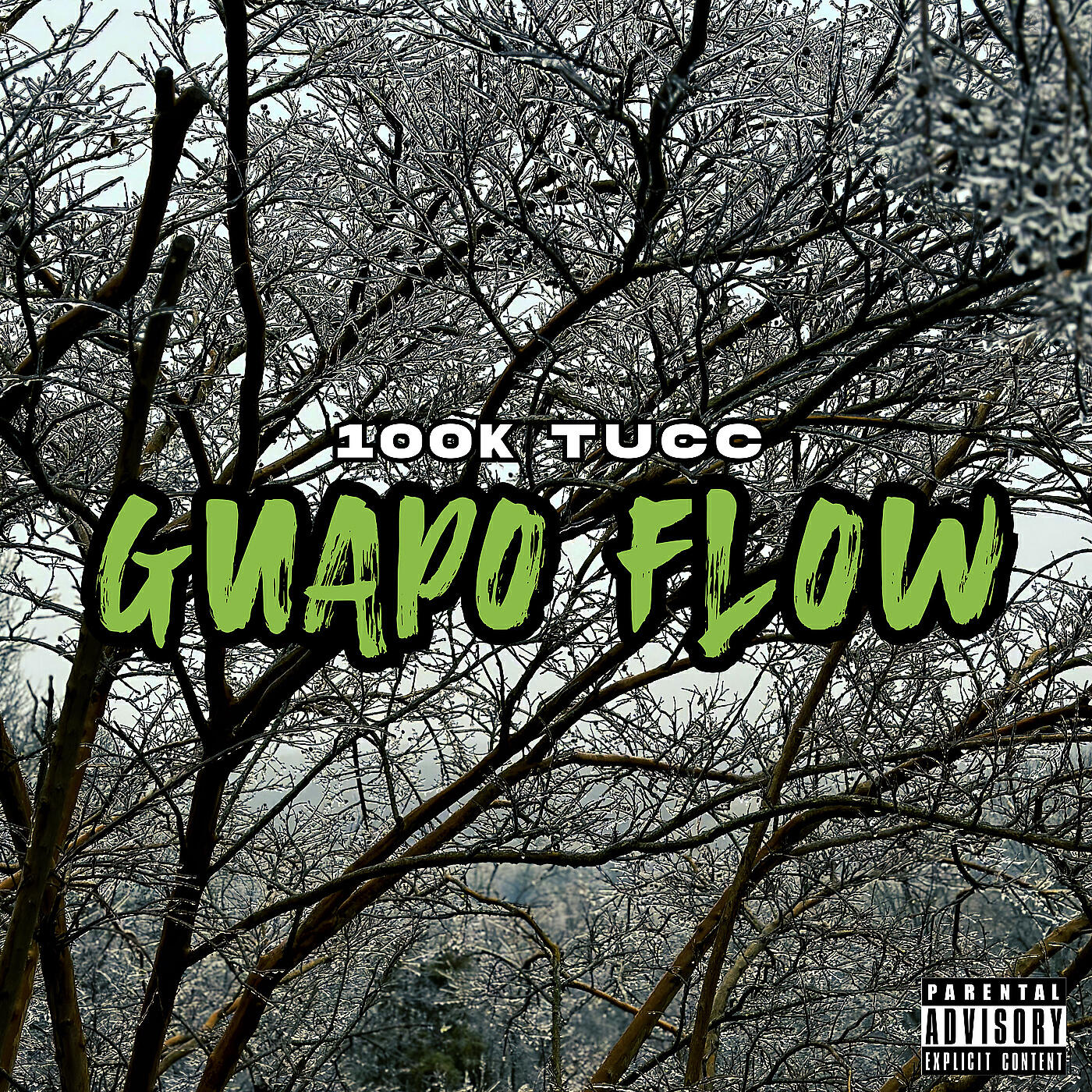 Релиз Guapo Flow