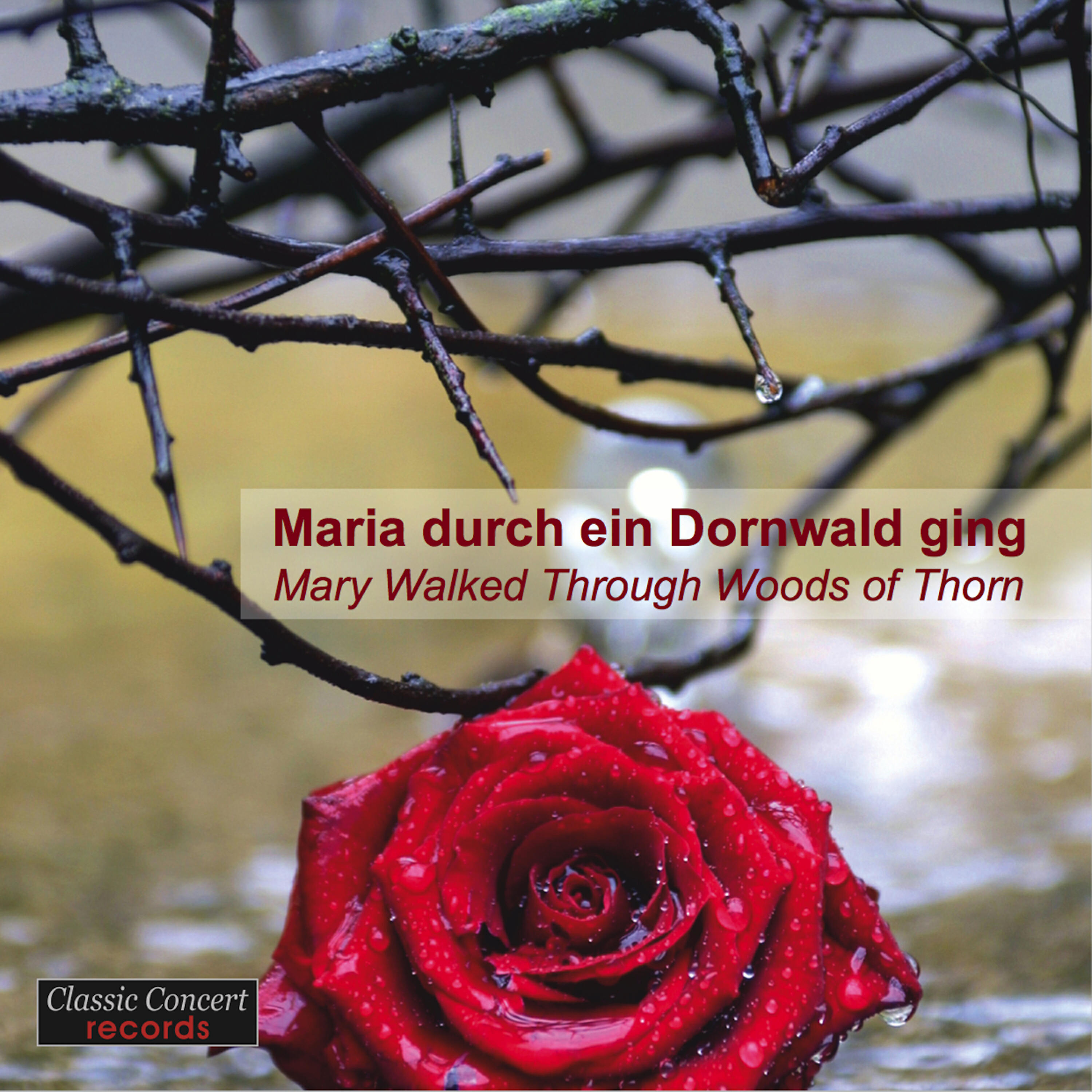 Трек Maria durch ein Dornwald ging - When Mary Walked Through Woods of Thorn