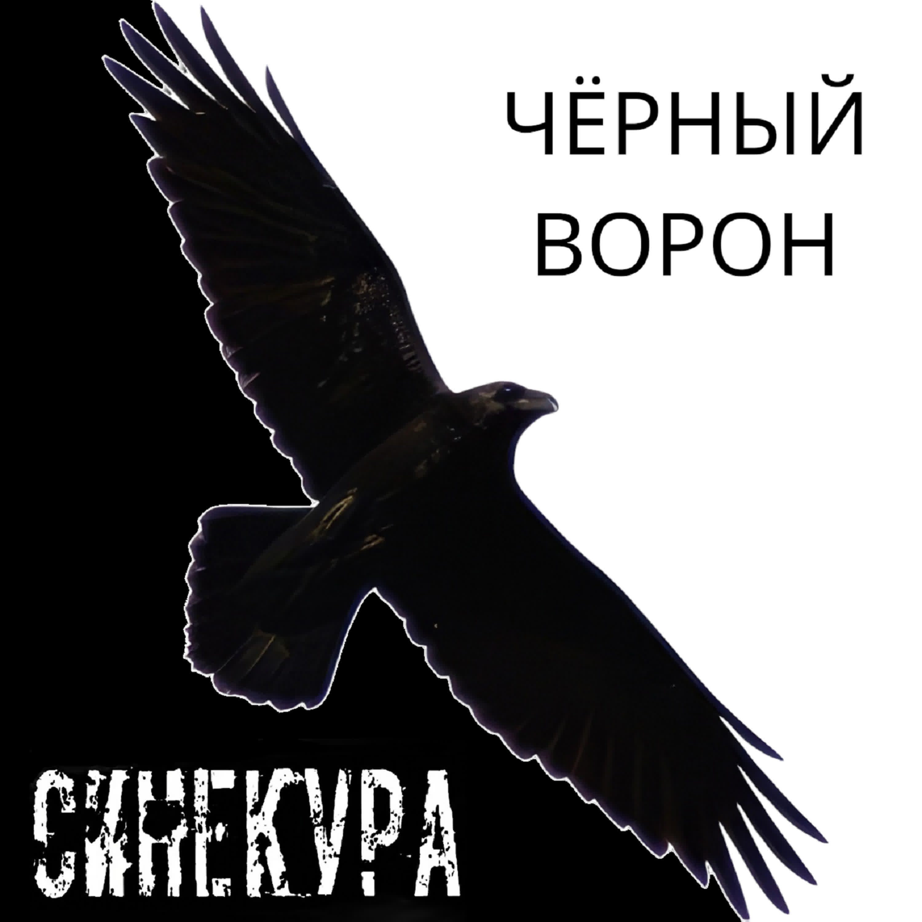 Релиз Чёрный ворон