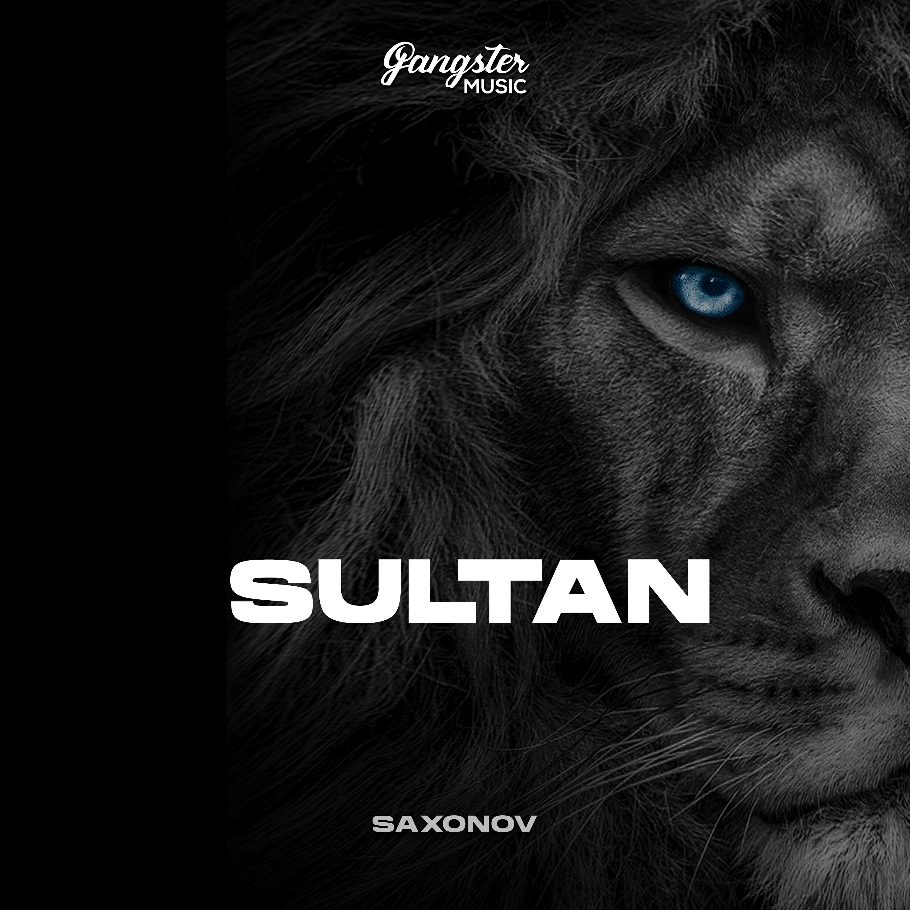 Релиз Sultan