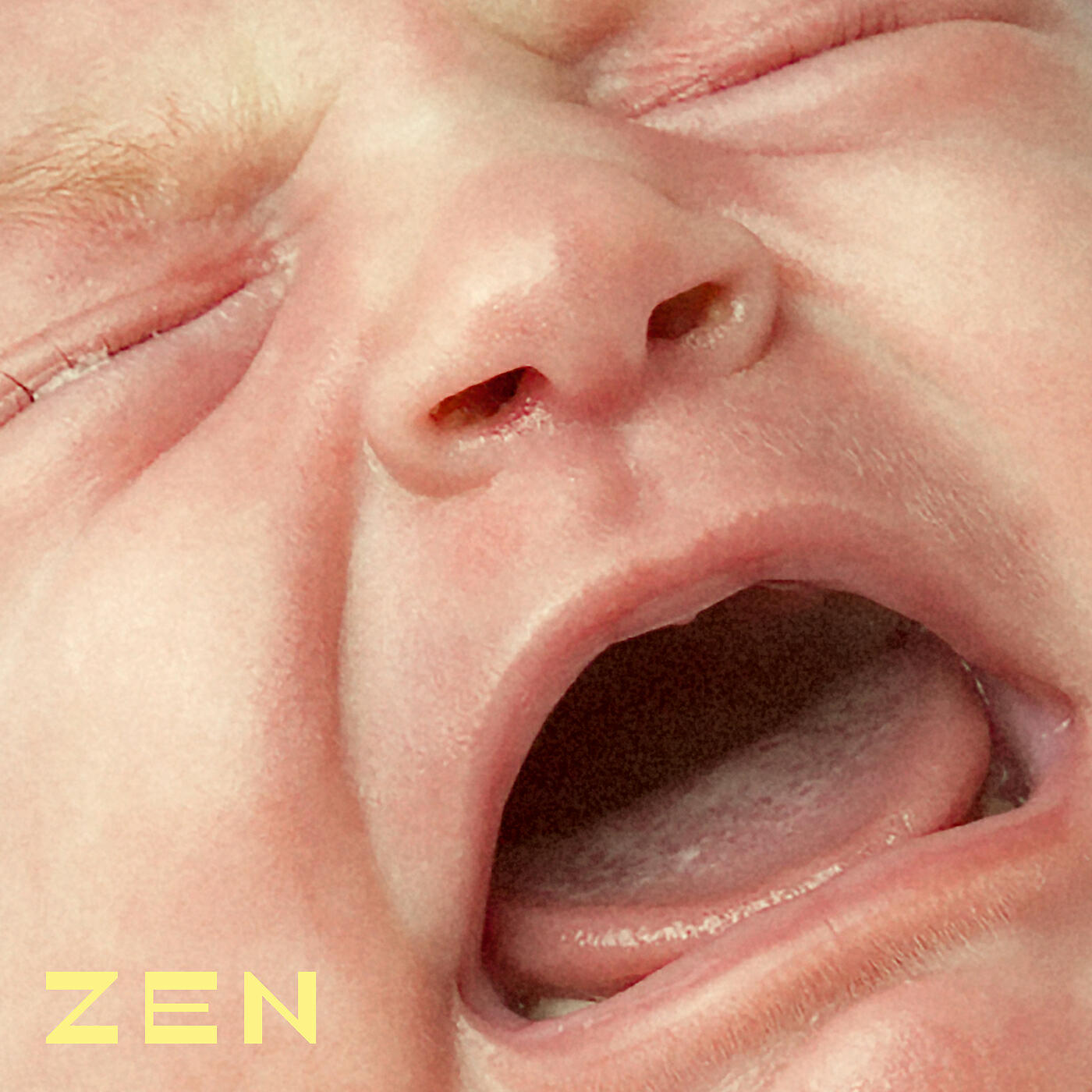 Релиз Zen