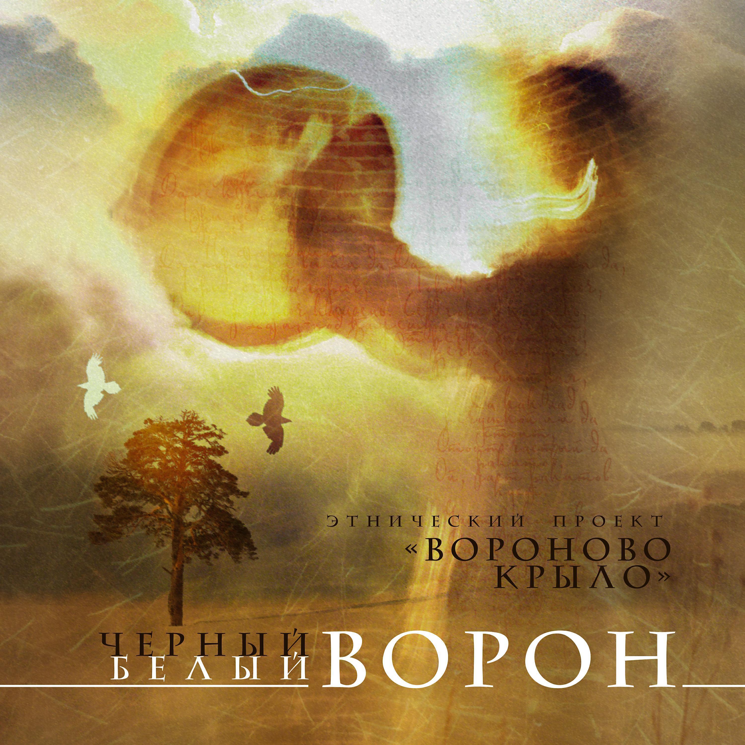 Вороново крыло