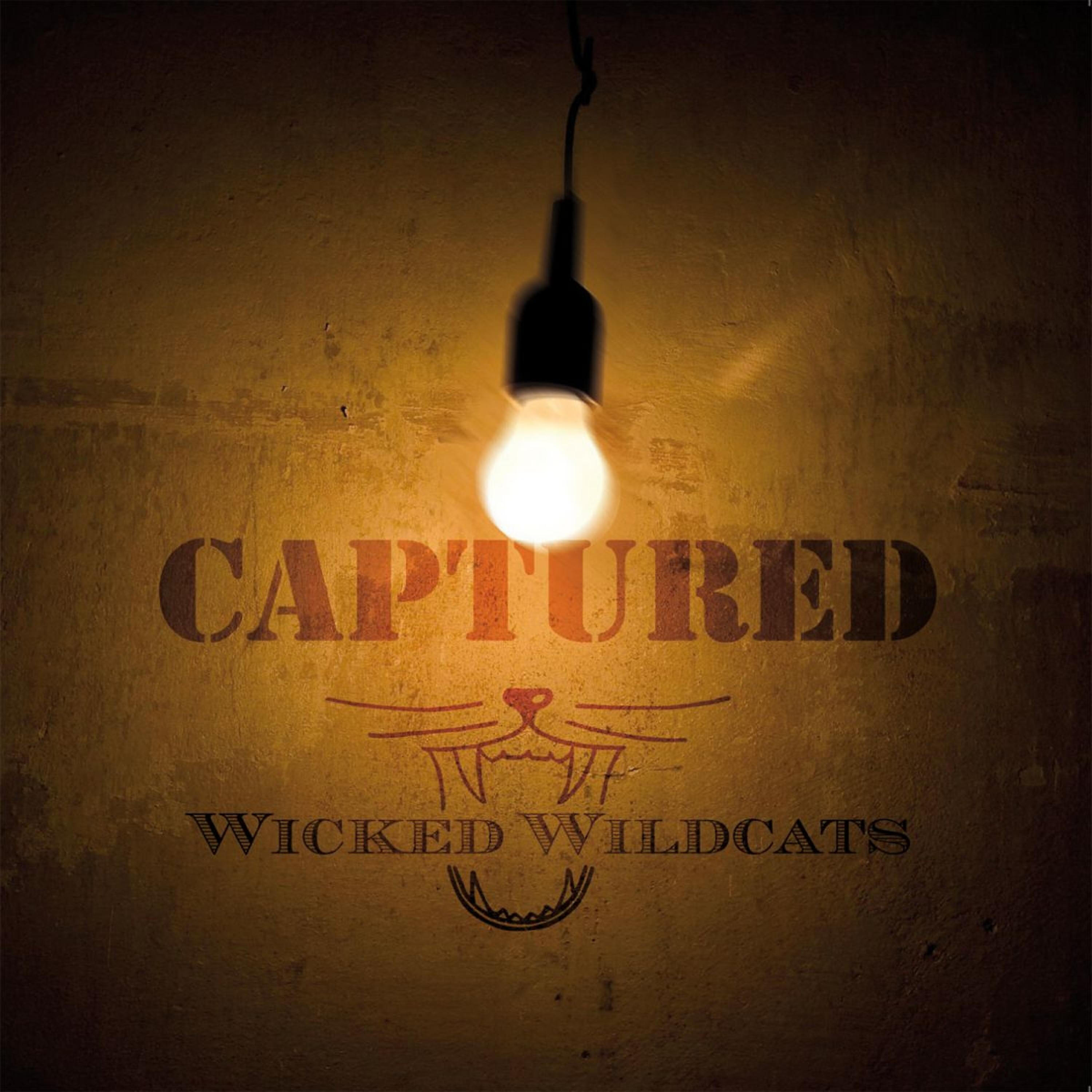 Wicked Wildcats