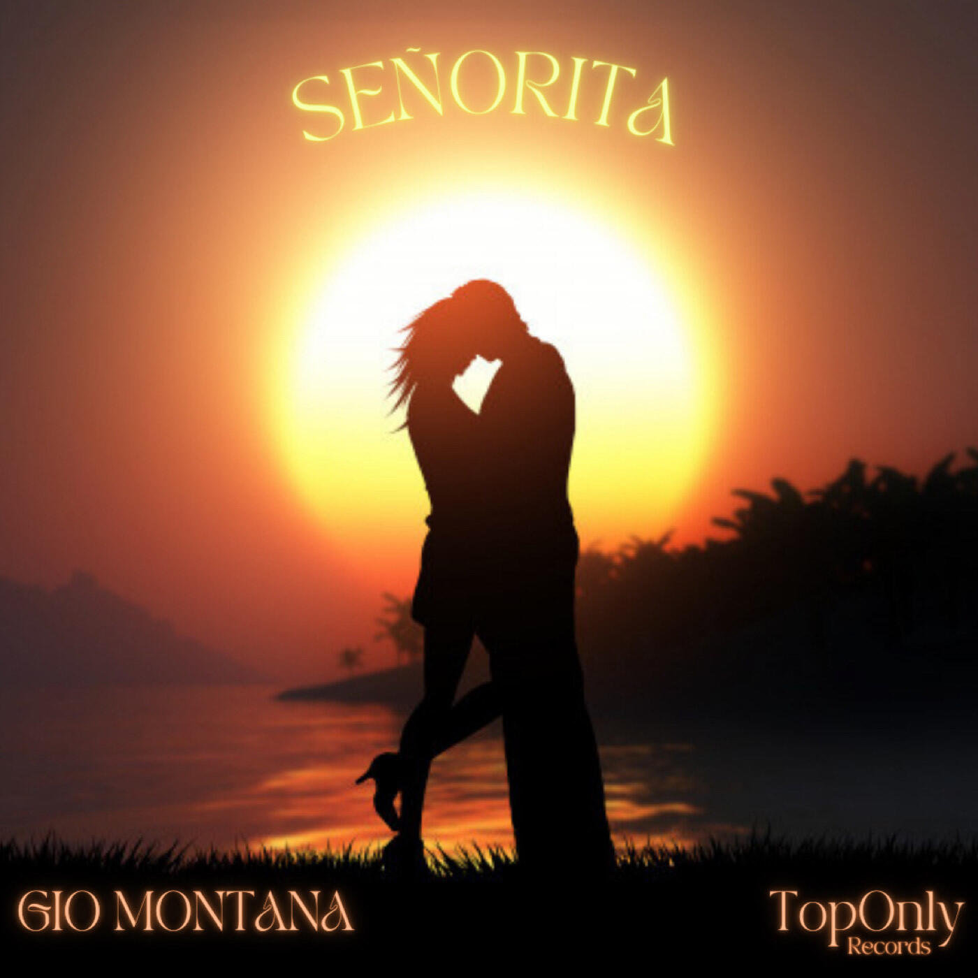 Релиз SEÑORITA