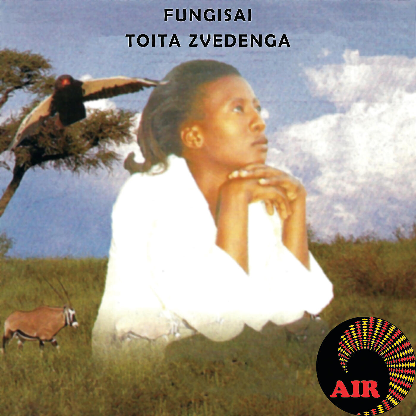 Релиз Toita Zvedenga