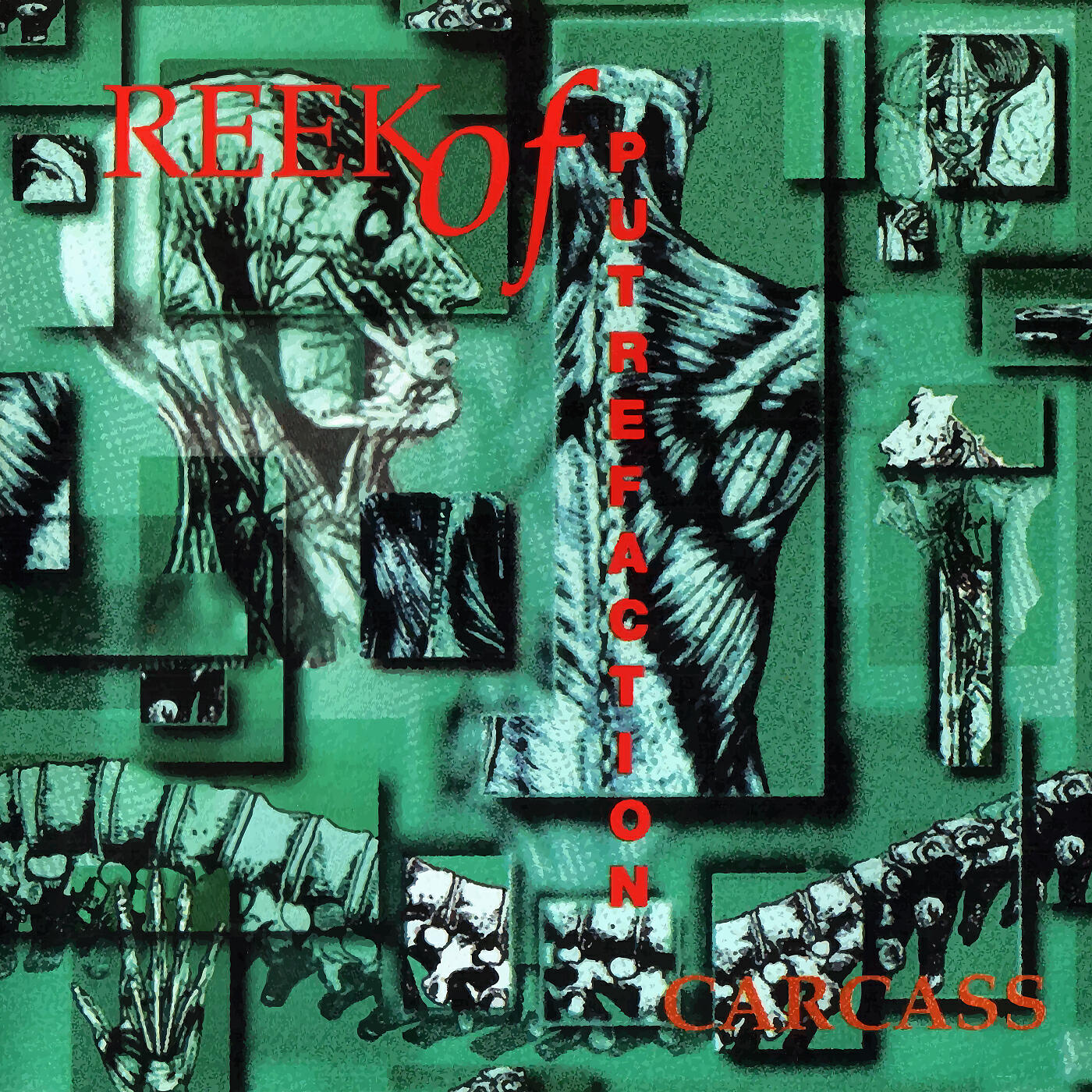 Постер альбома Reek of Putrefaction (Full Dynamic Range Edition)