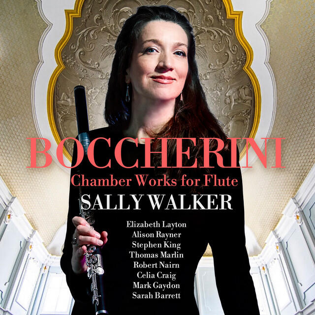 Релиз Boccherini: Sextet in E Flat Major, Op. 38, No. 1, G. 467: II. Allegro ma non presto