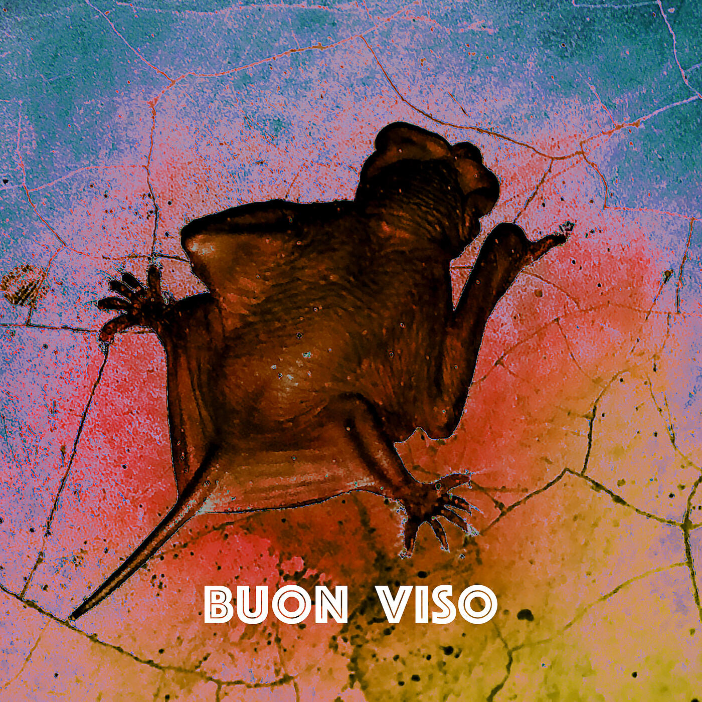 Релиз BUON VISO