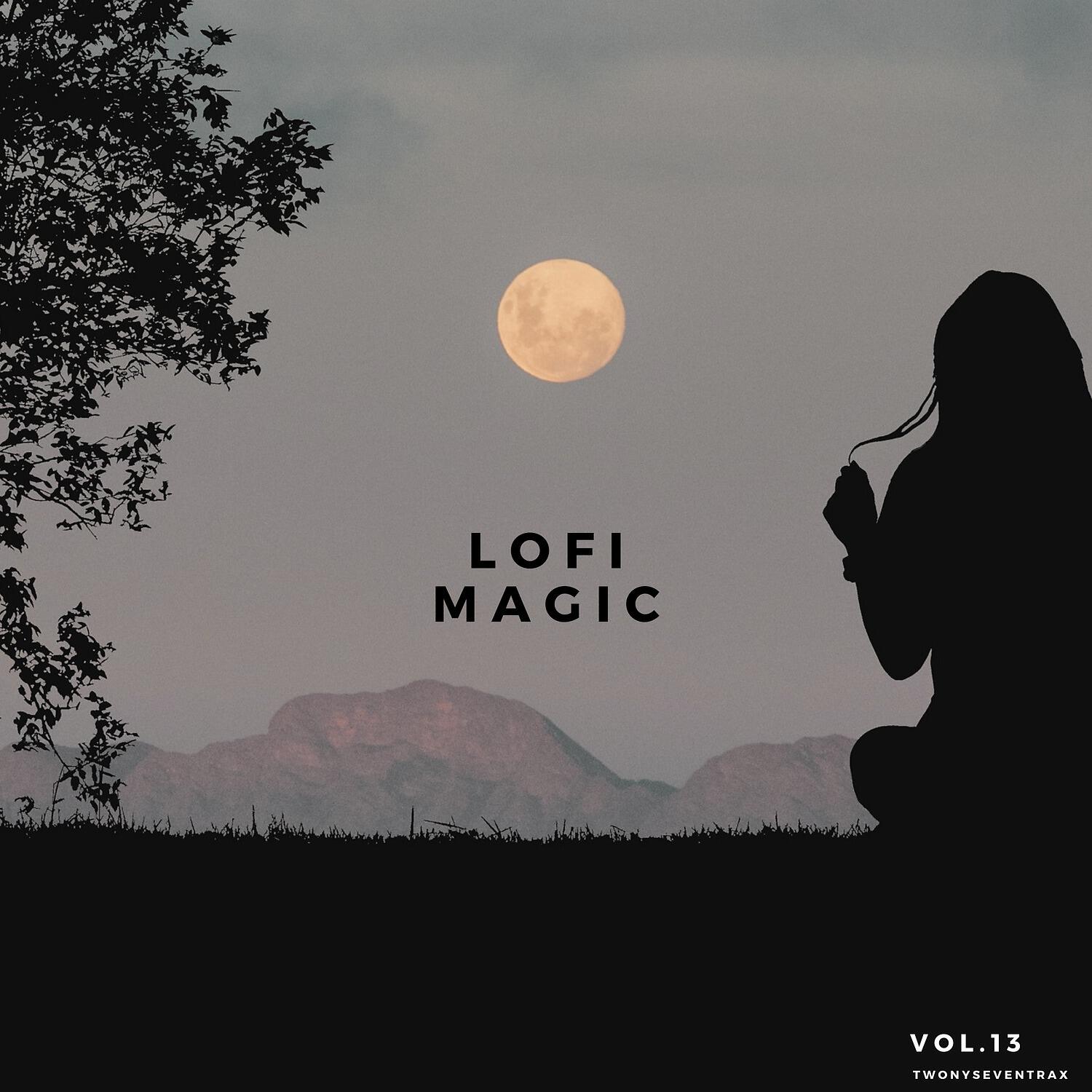 Релиз Lofi Magic, Vol. 13