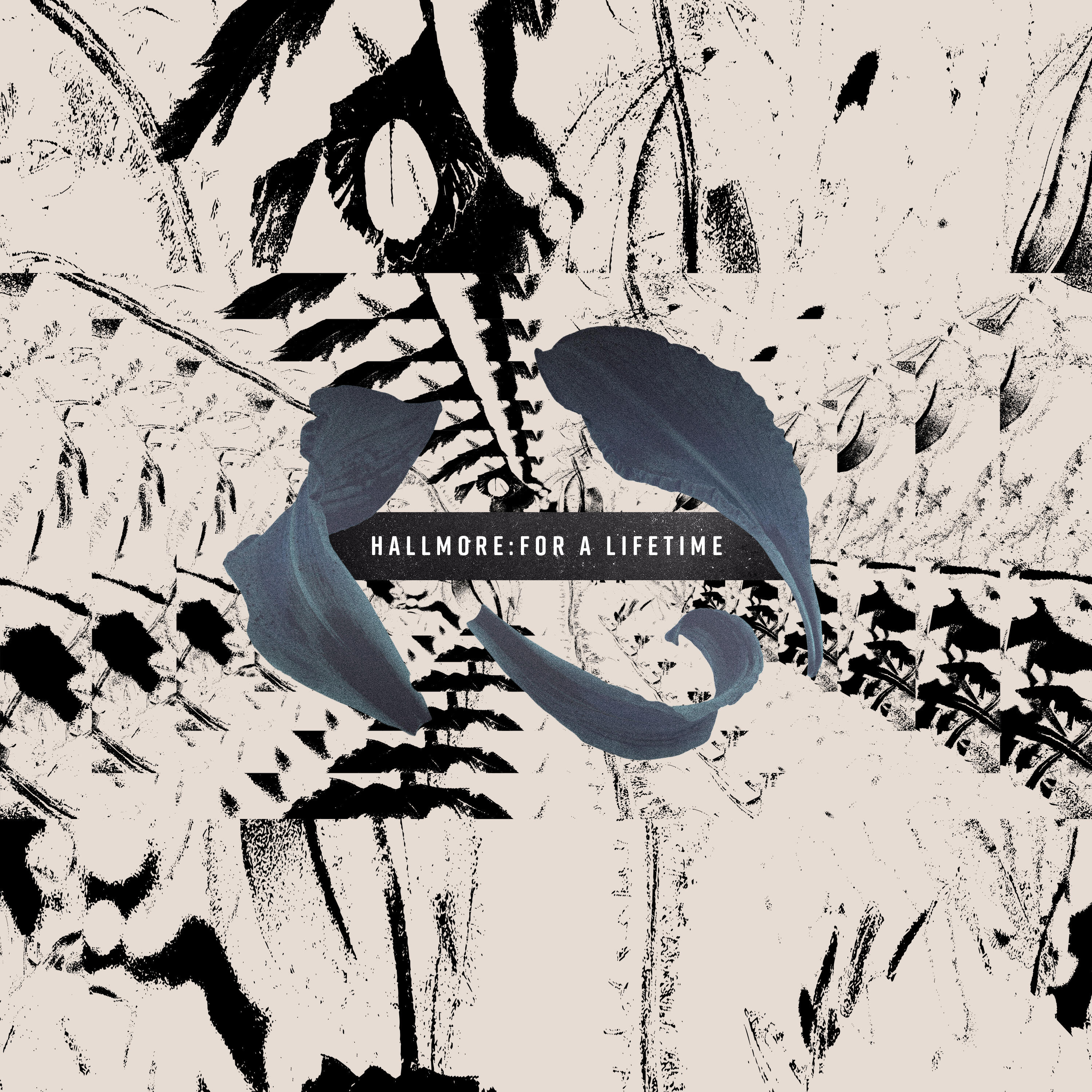 Релиз For a Lifetime