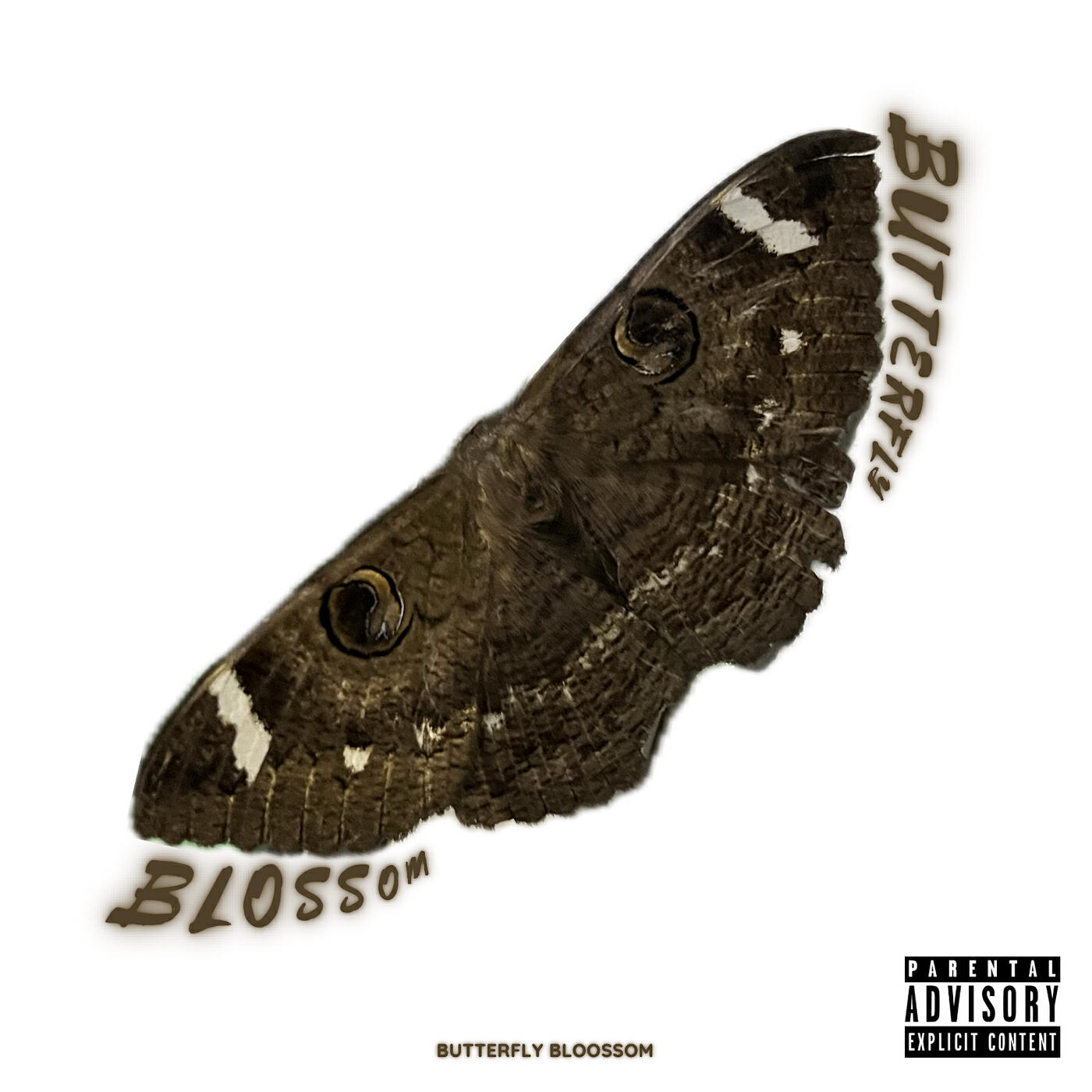 Релиз Butterfly Blossom