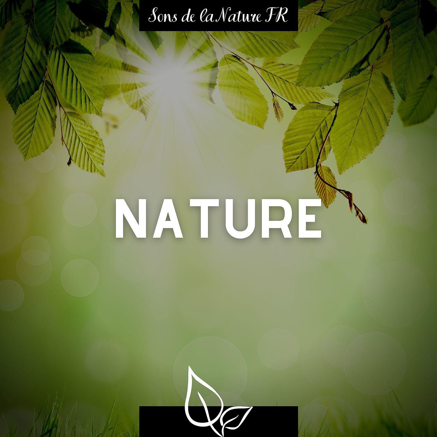 Релиз Nature - Fresh musique de relaxation