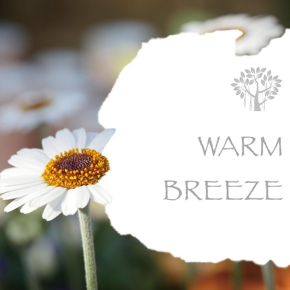 Релиз Warm Breeze