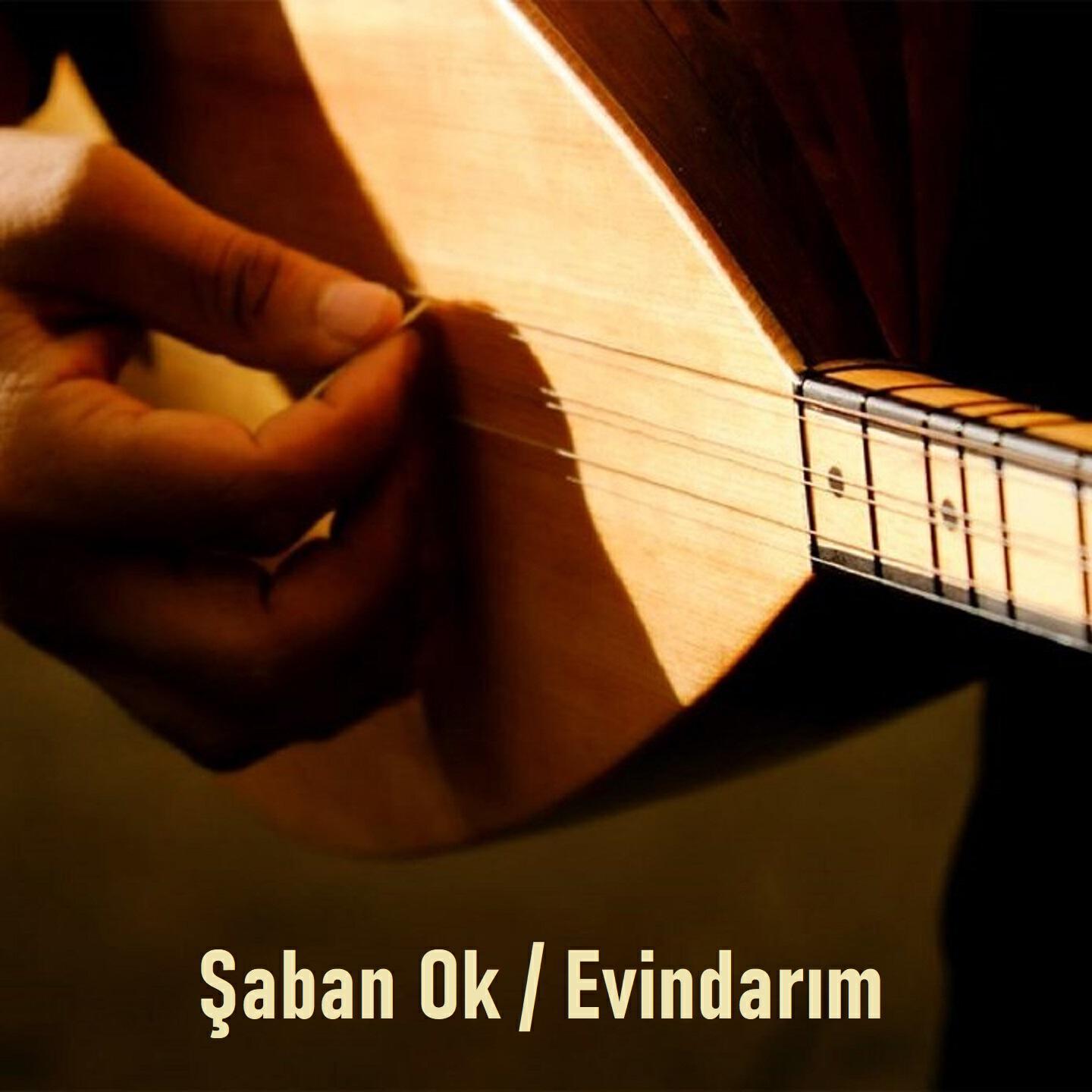 Şaban Ok
